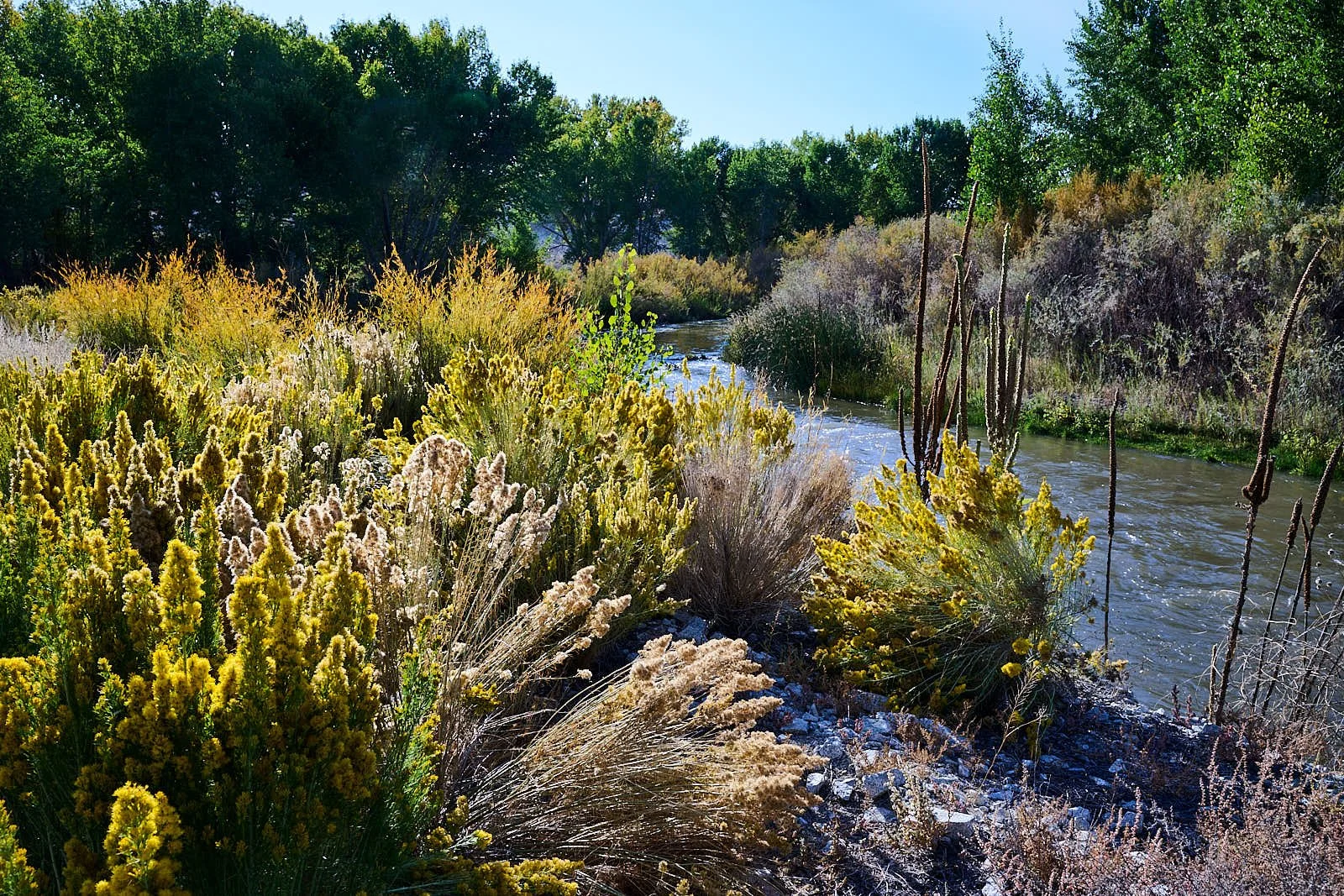 Nevada44  GDW_1636.jpg