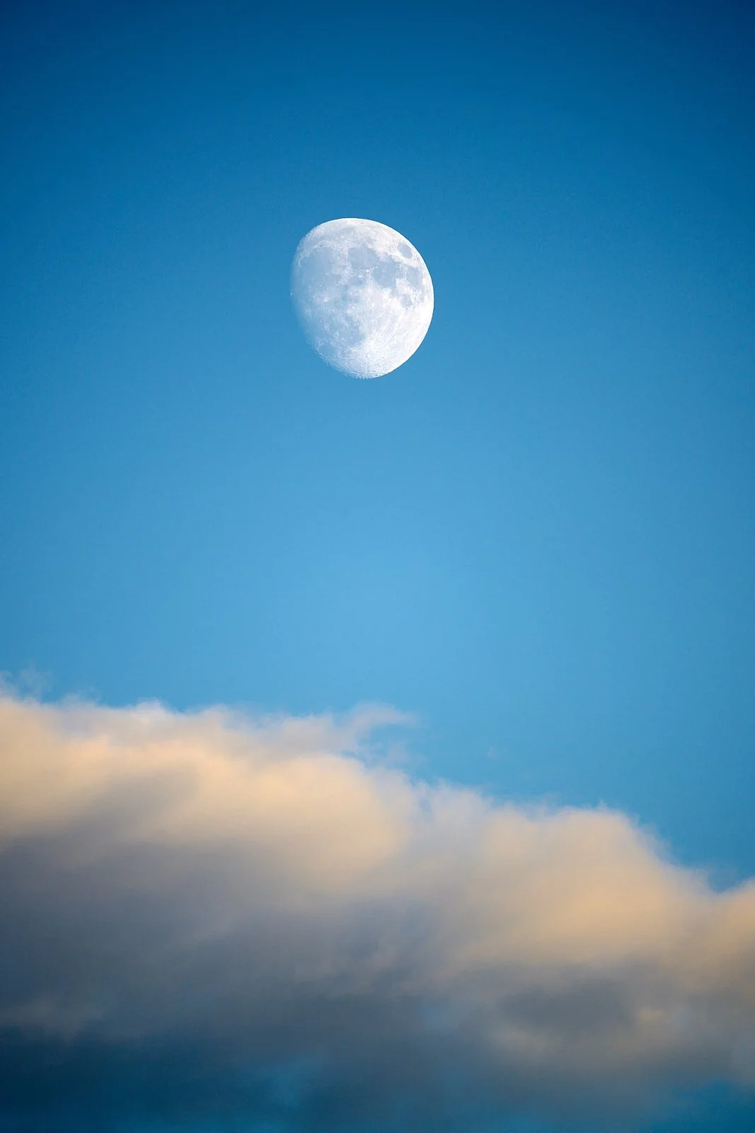 Waxing moon at twilight
