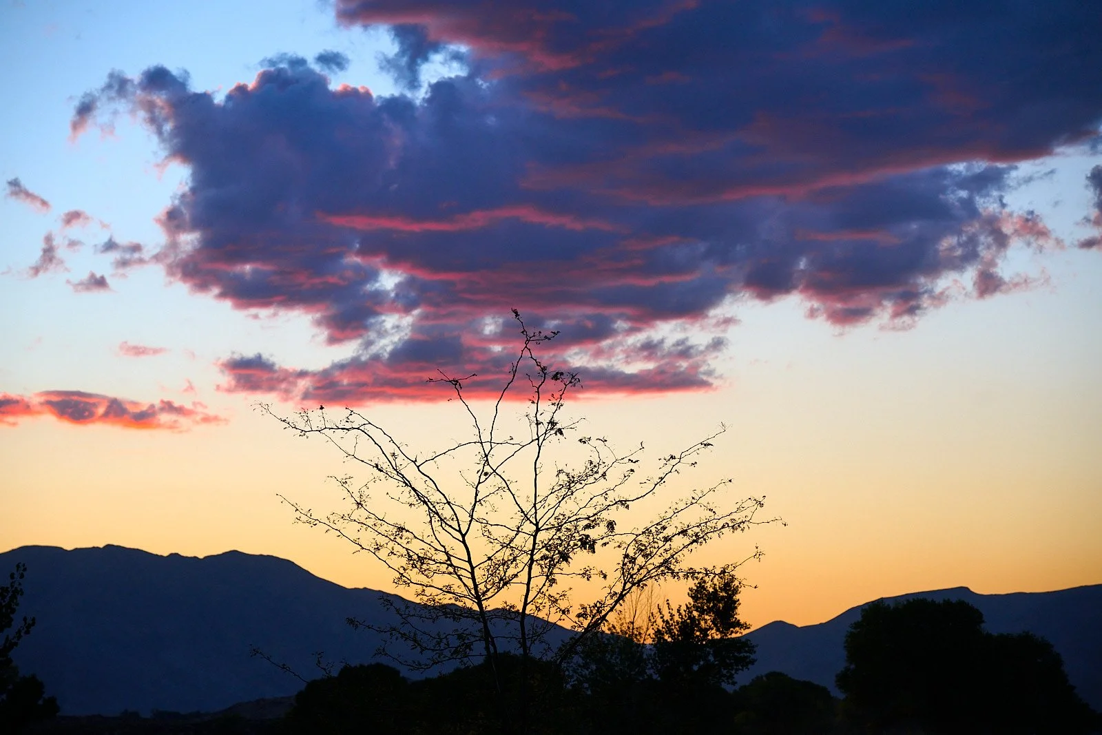 Nevada44  GDW_1646.jpg