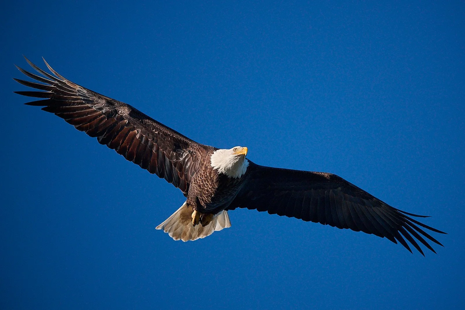 2025-12 Morro GDW_2333.jpg