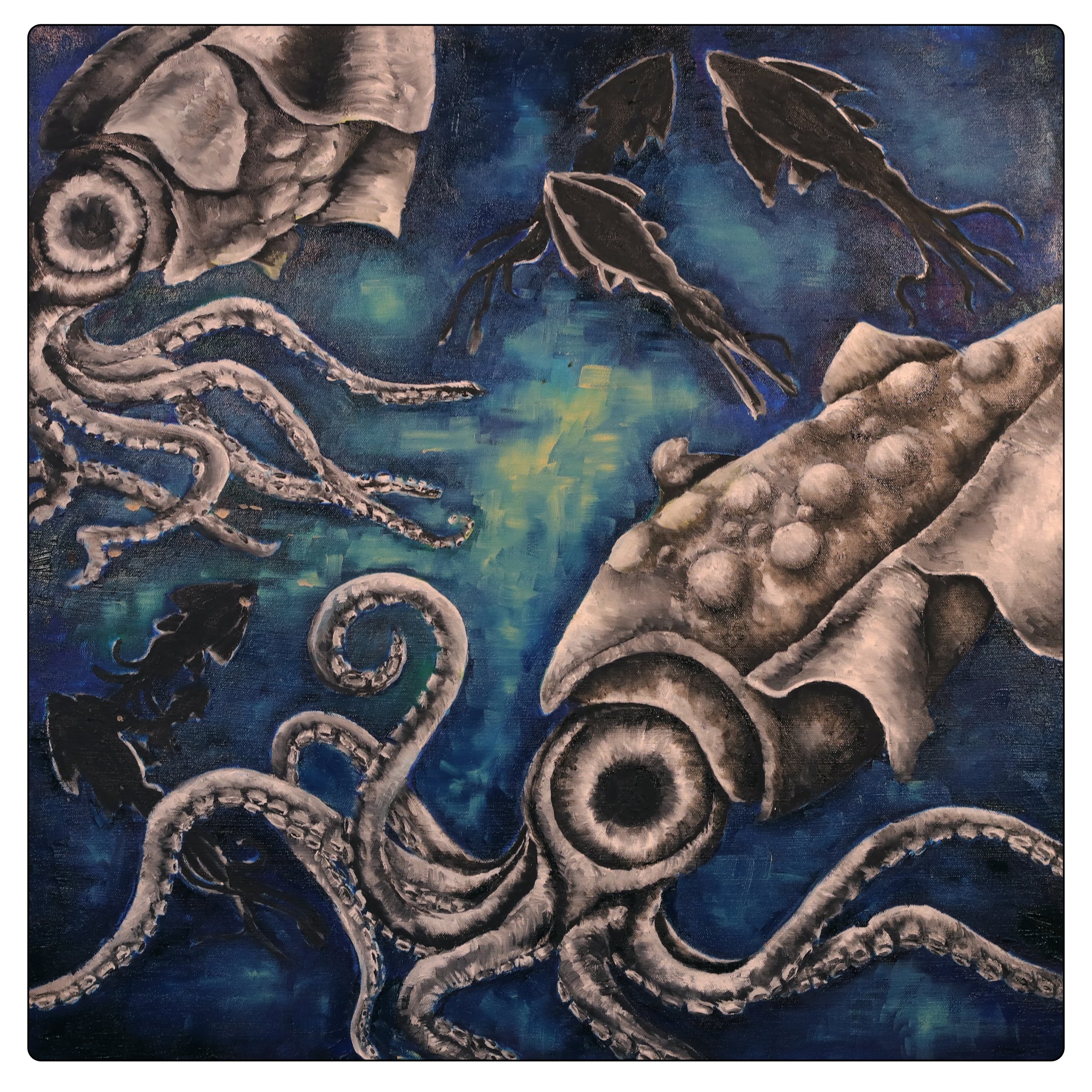CEPHALOPODA_20X20.jpg