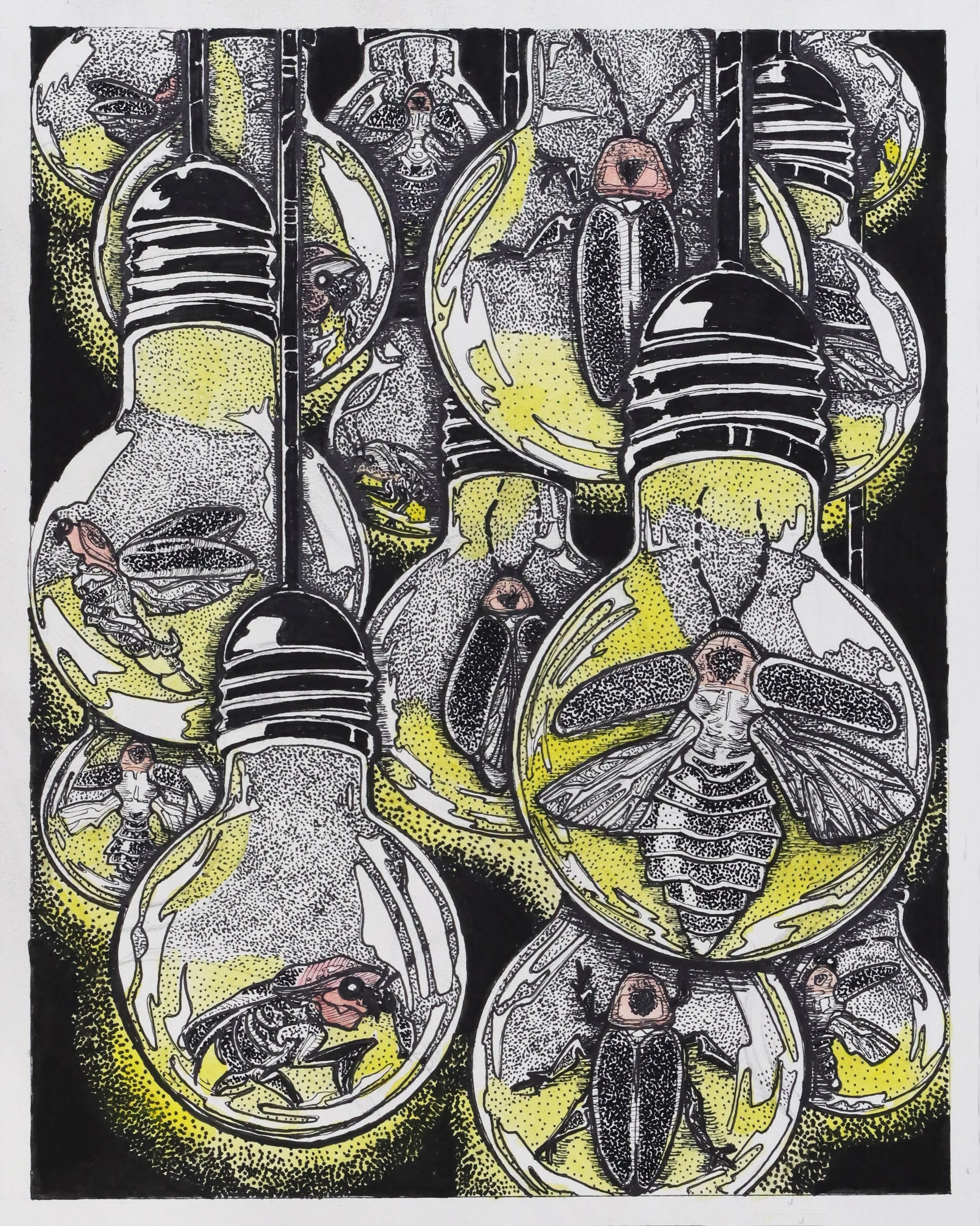 FIREFLIES IN LIGHTBULBS