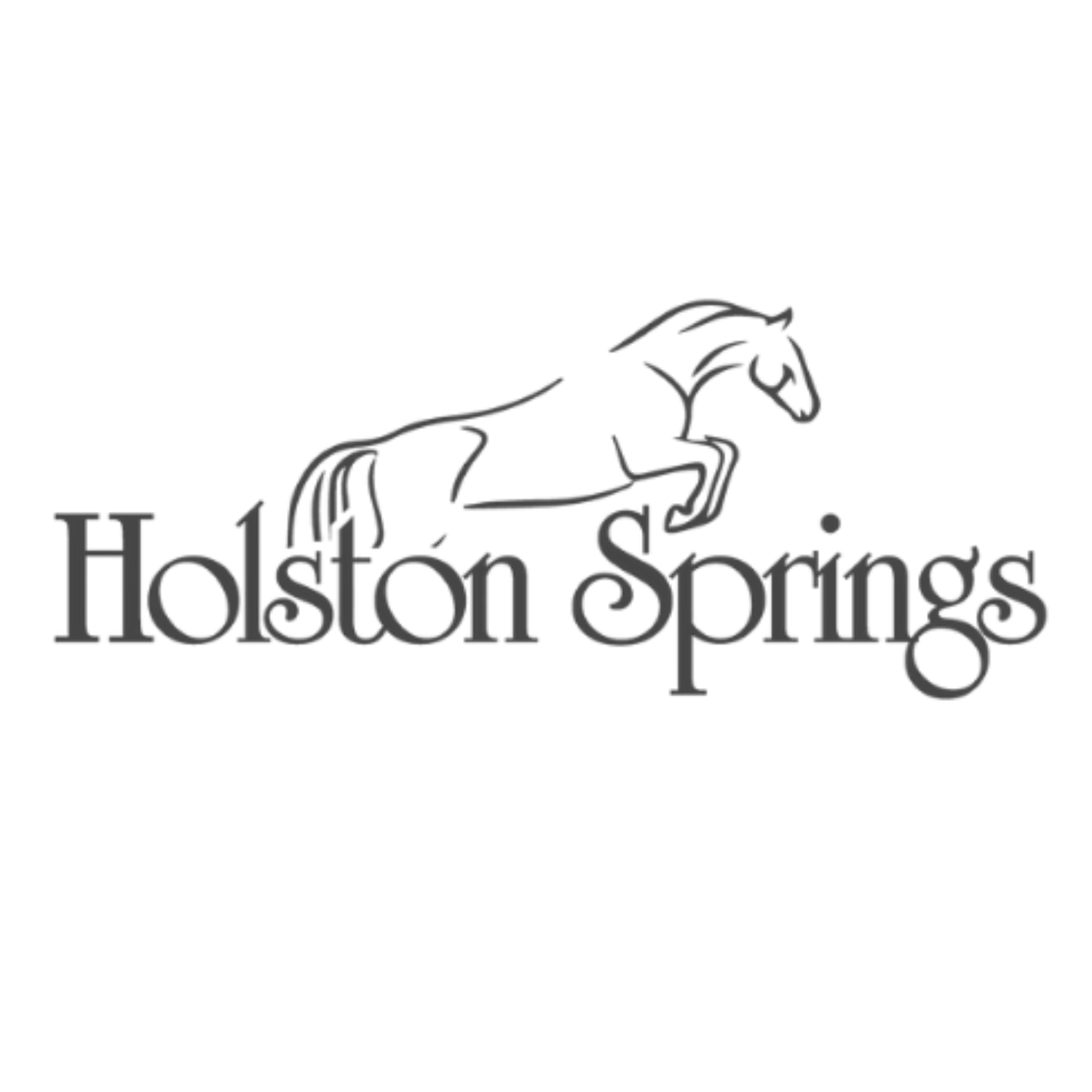 Holston Springs