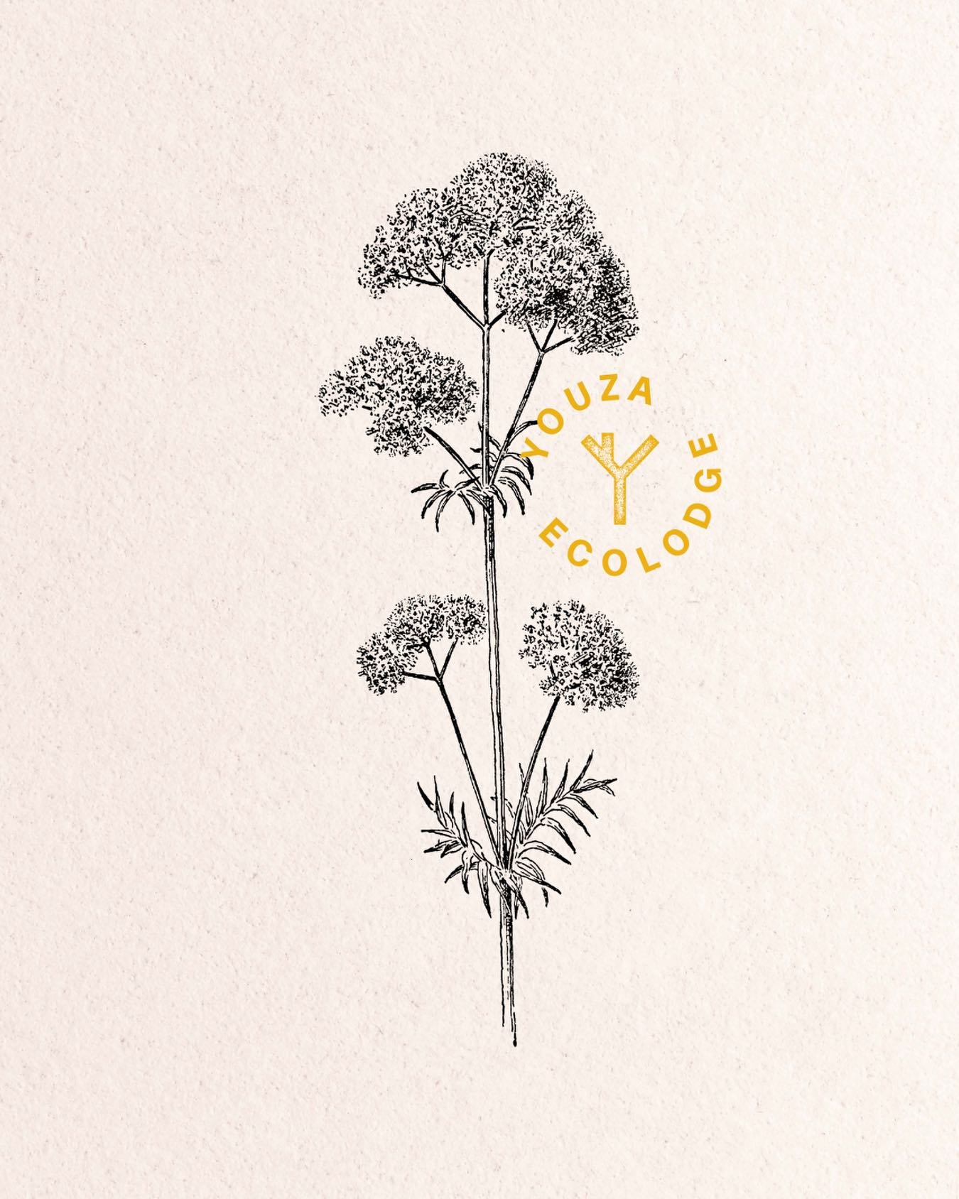 🌱
.
.
.
.
#youza #youzaecolodge #lodge #ecolodge #normandie #slowtourism #cabaneperch&eacute;e