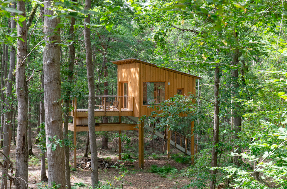 Cabane dans les arbres proche de Paris : l’évasion nature à seulement 1h