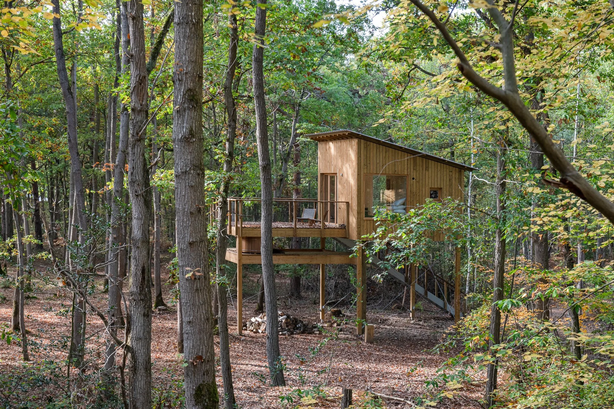 Nuit insolite en Normandie : cabane dans les arbres, bain nordique et forêt de 32 hectares