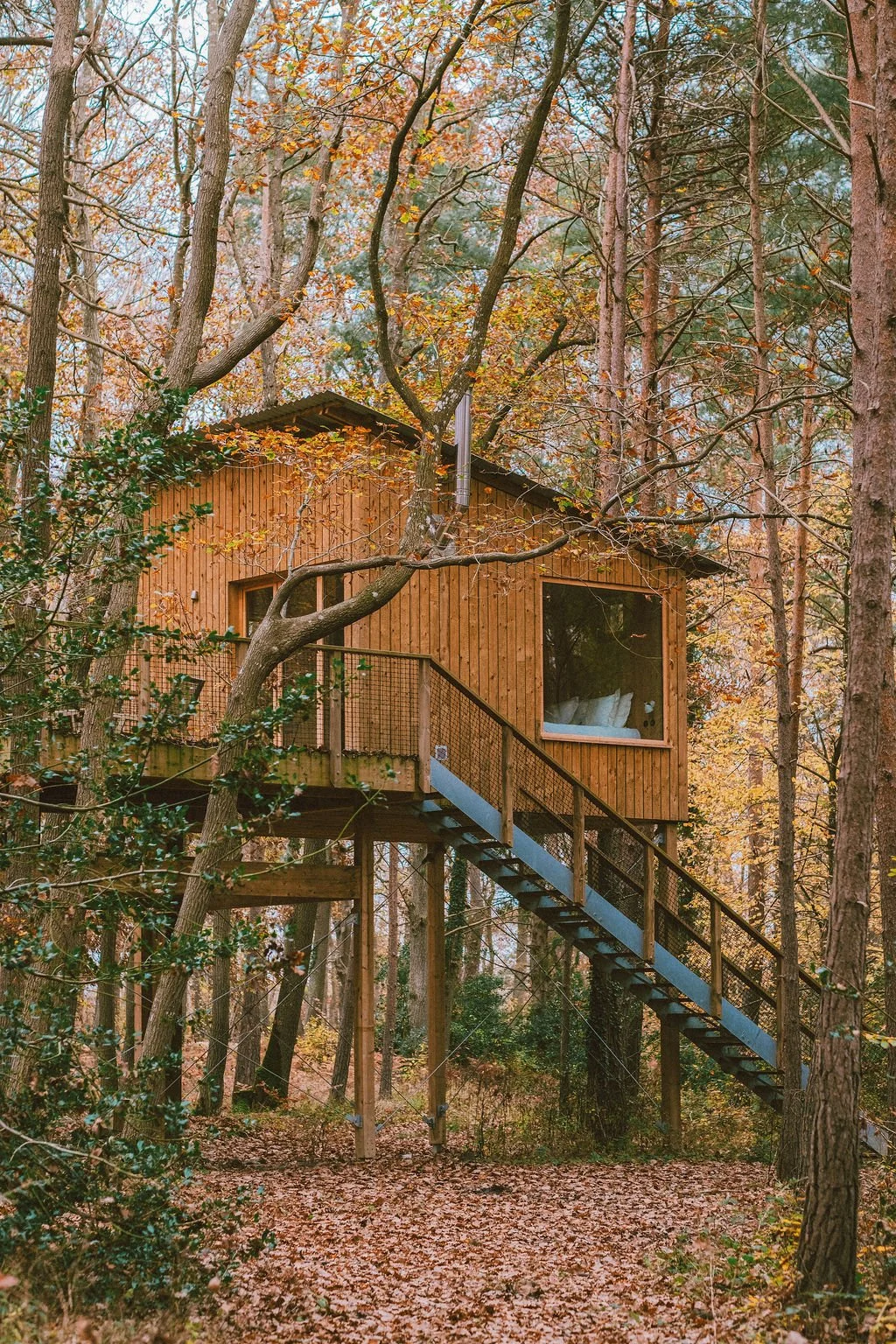 Cabane d'architecte haut de gamme