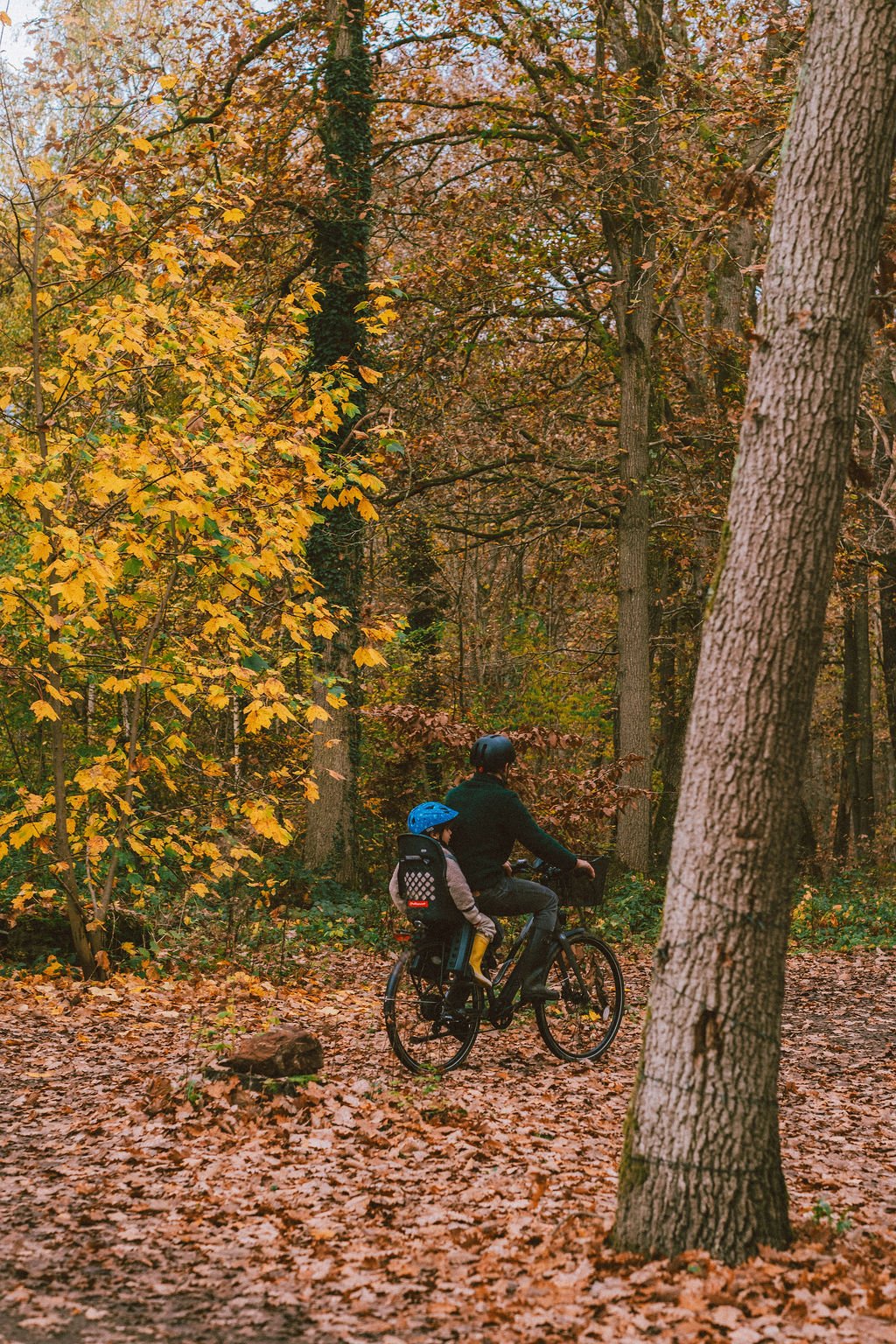 Vélos électriques disponibles à la location