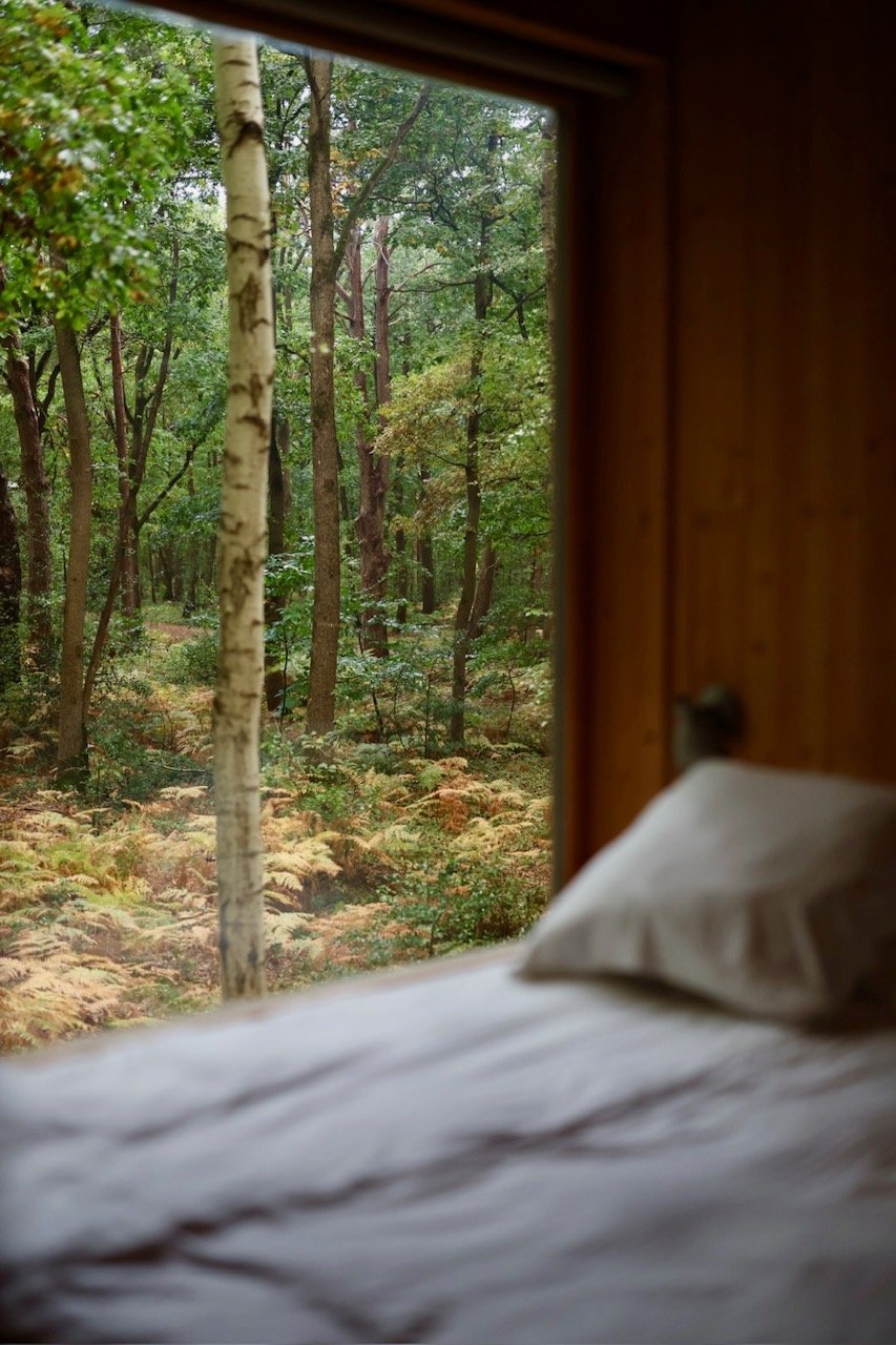 Cabane avec vue sur la nature