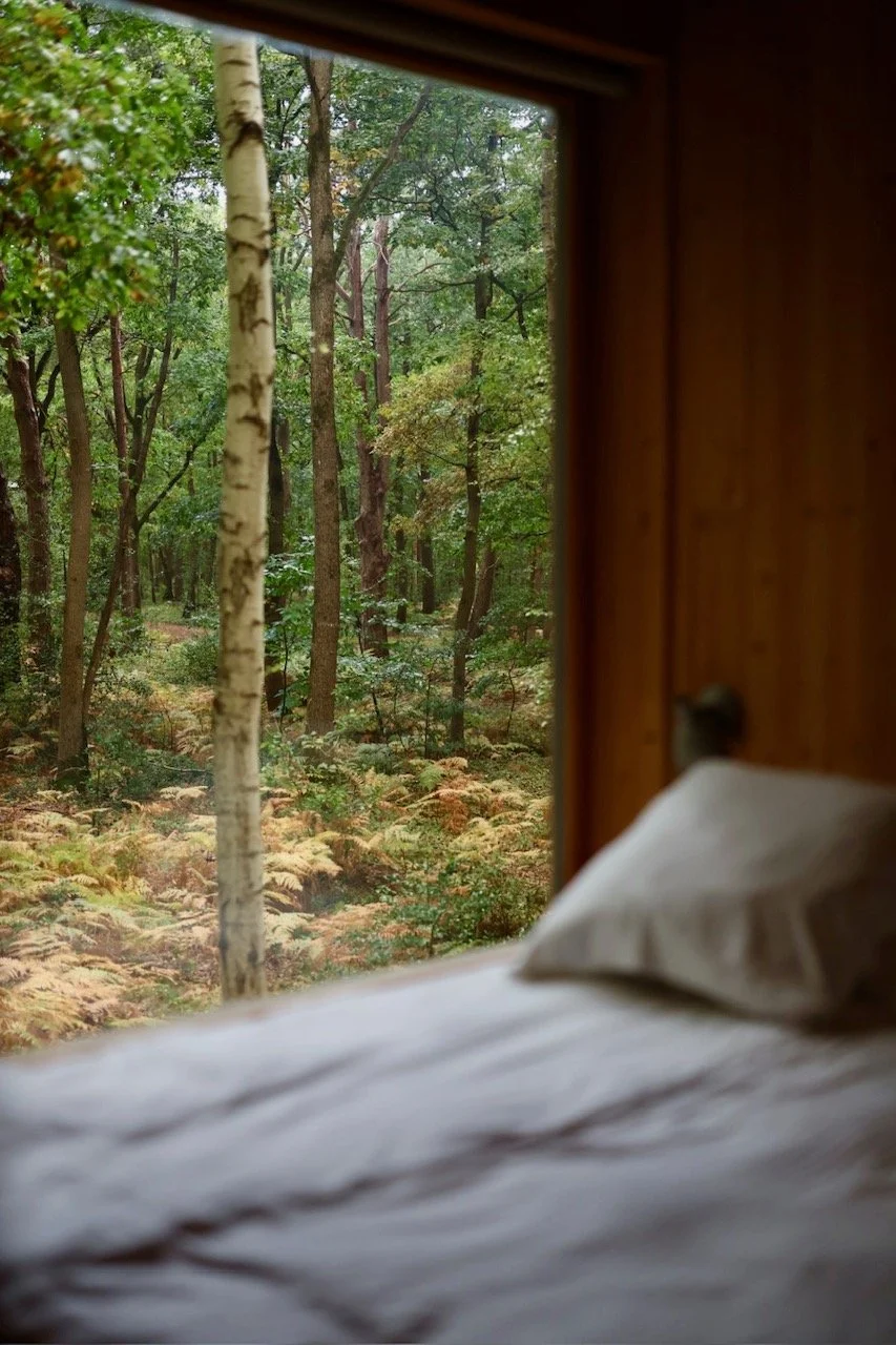 Cabane avec vue sur la nature