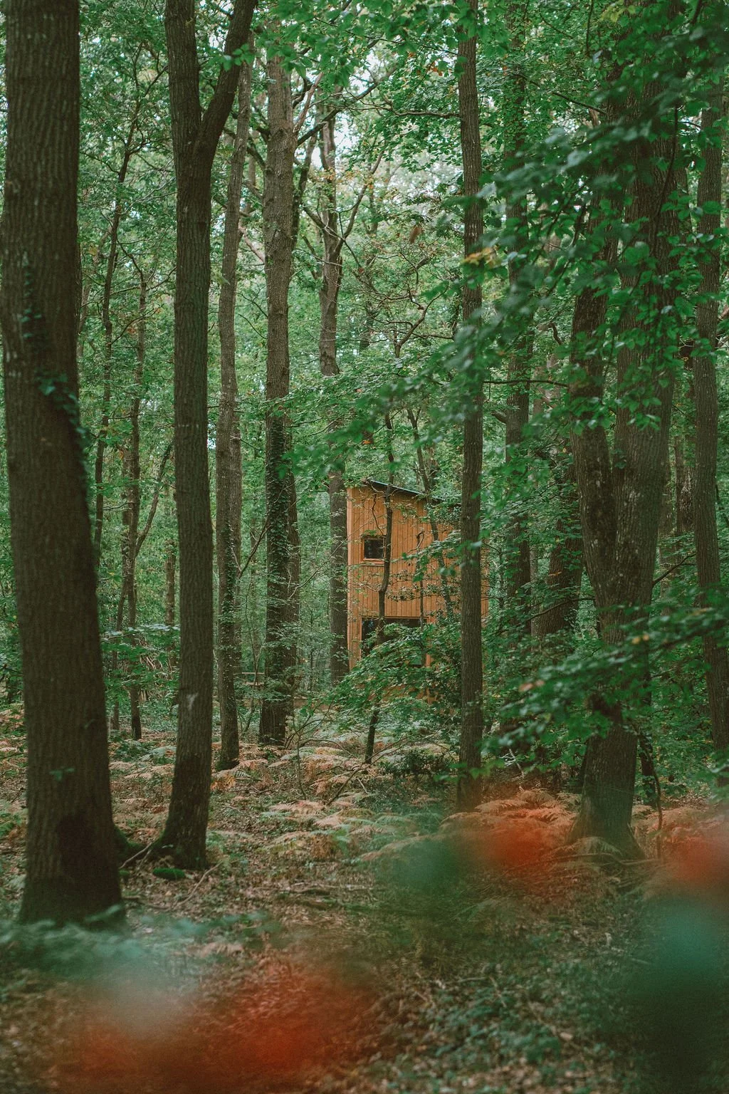 Cabane pour tribu, famille