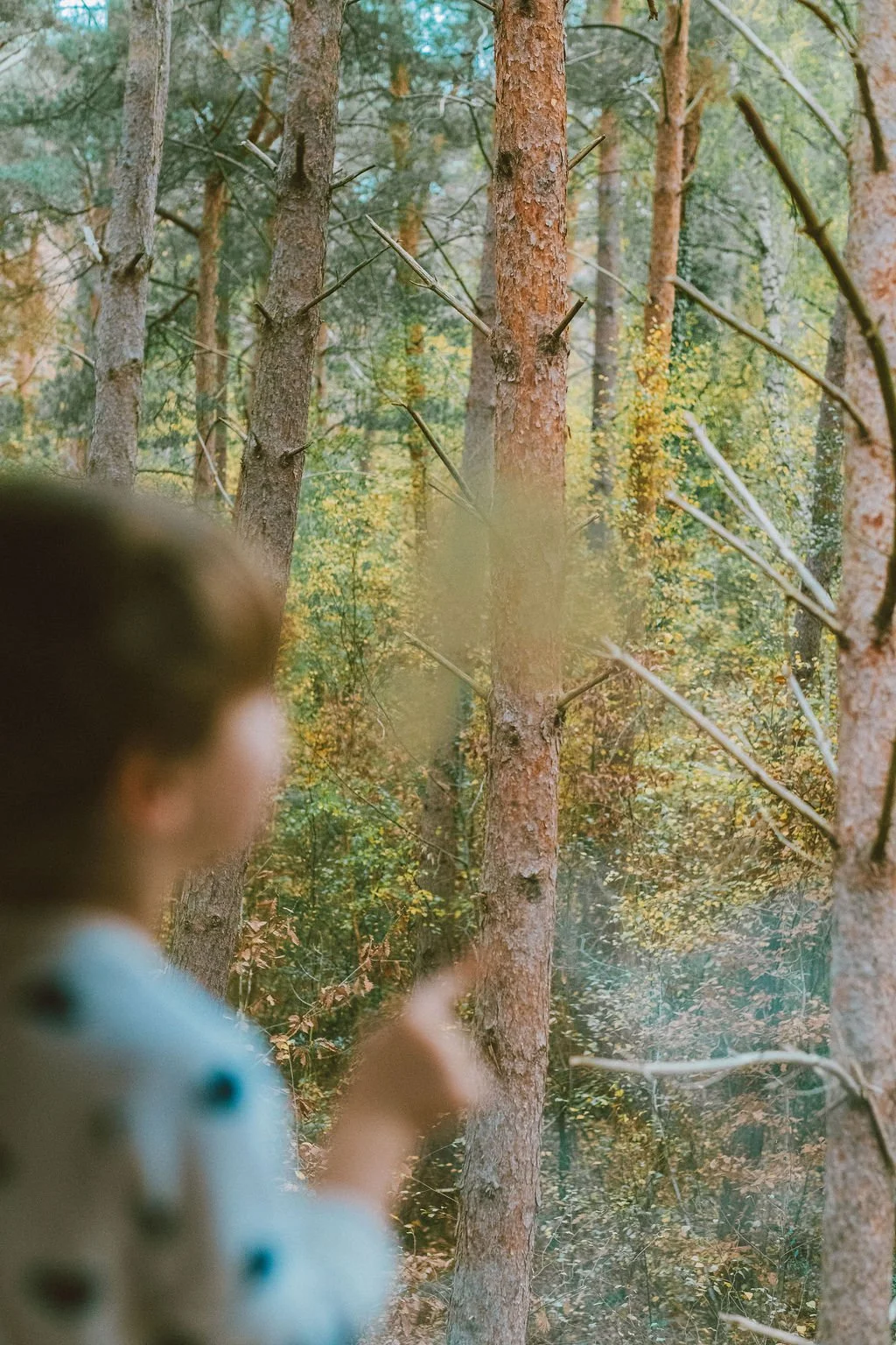 Reconnexion à la nature