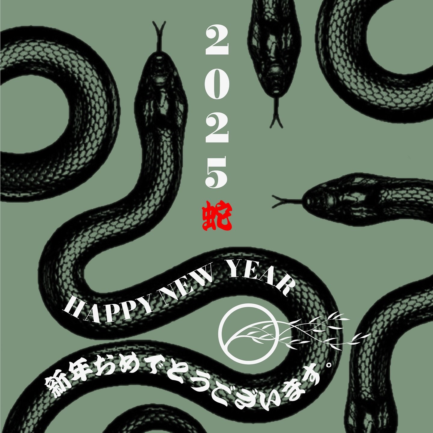 Happy Lunar New Year 🧧 2025 from everyone at @newyorkbudoassociation 新年おめでとうございます｡ 蛇 #蛇 #lunarnewyear #2025