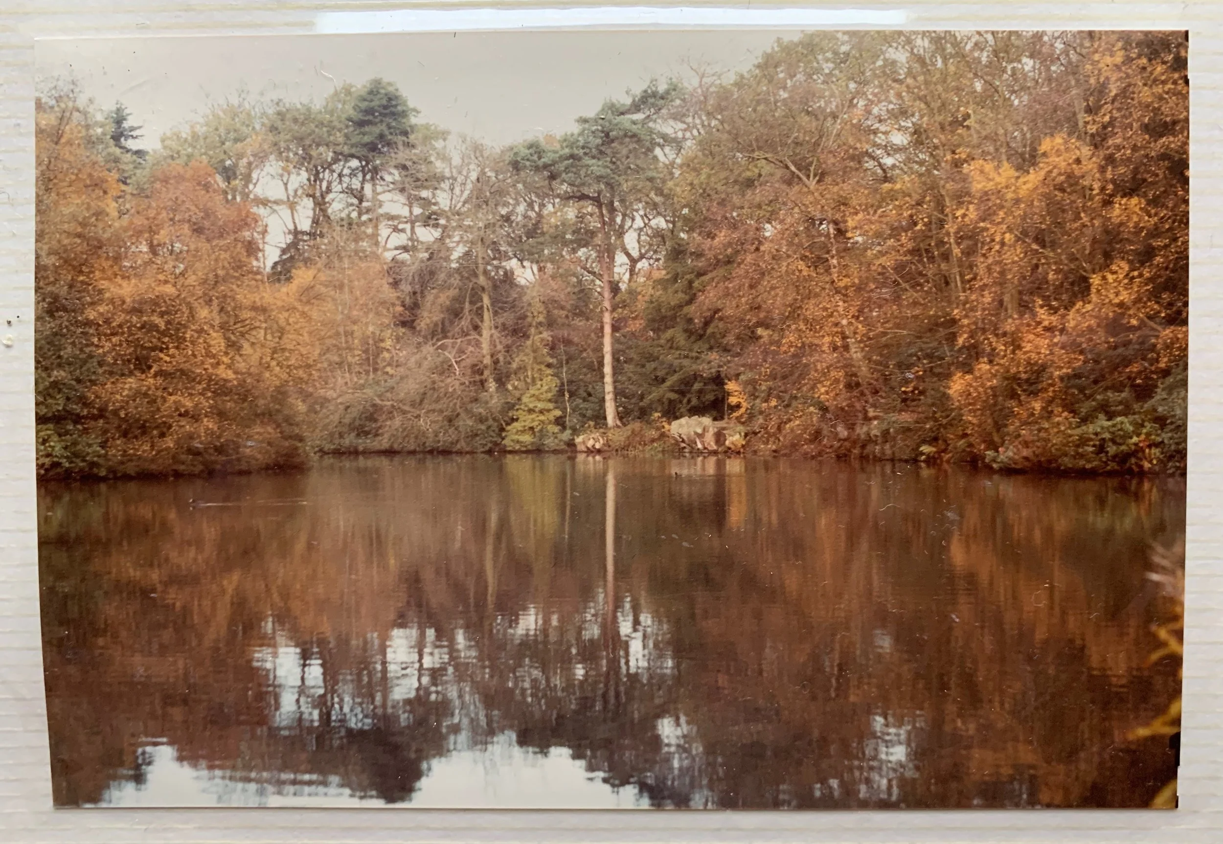 My first photo taken with the Minolta X-300 taken in the grounds of Keele University during a lunch break