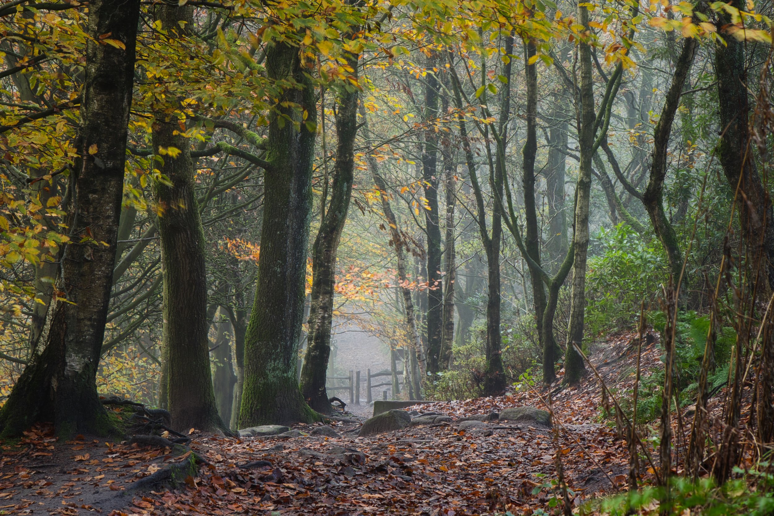 IMG_5004 Luminar.jpeg