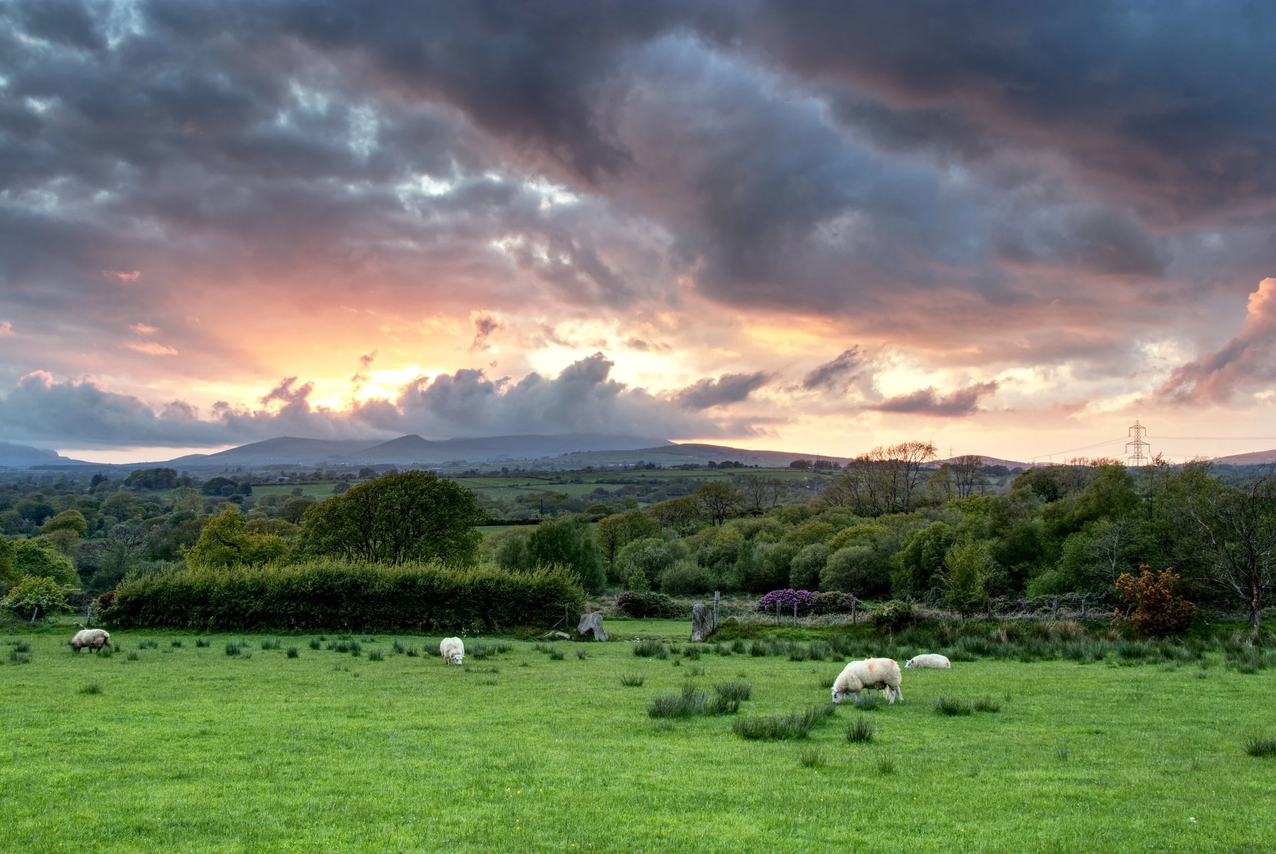 IMG_4234_35_36 HDR.jpeg