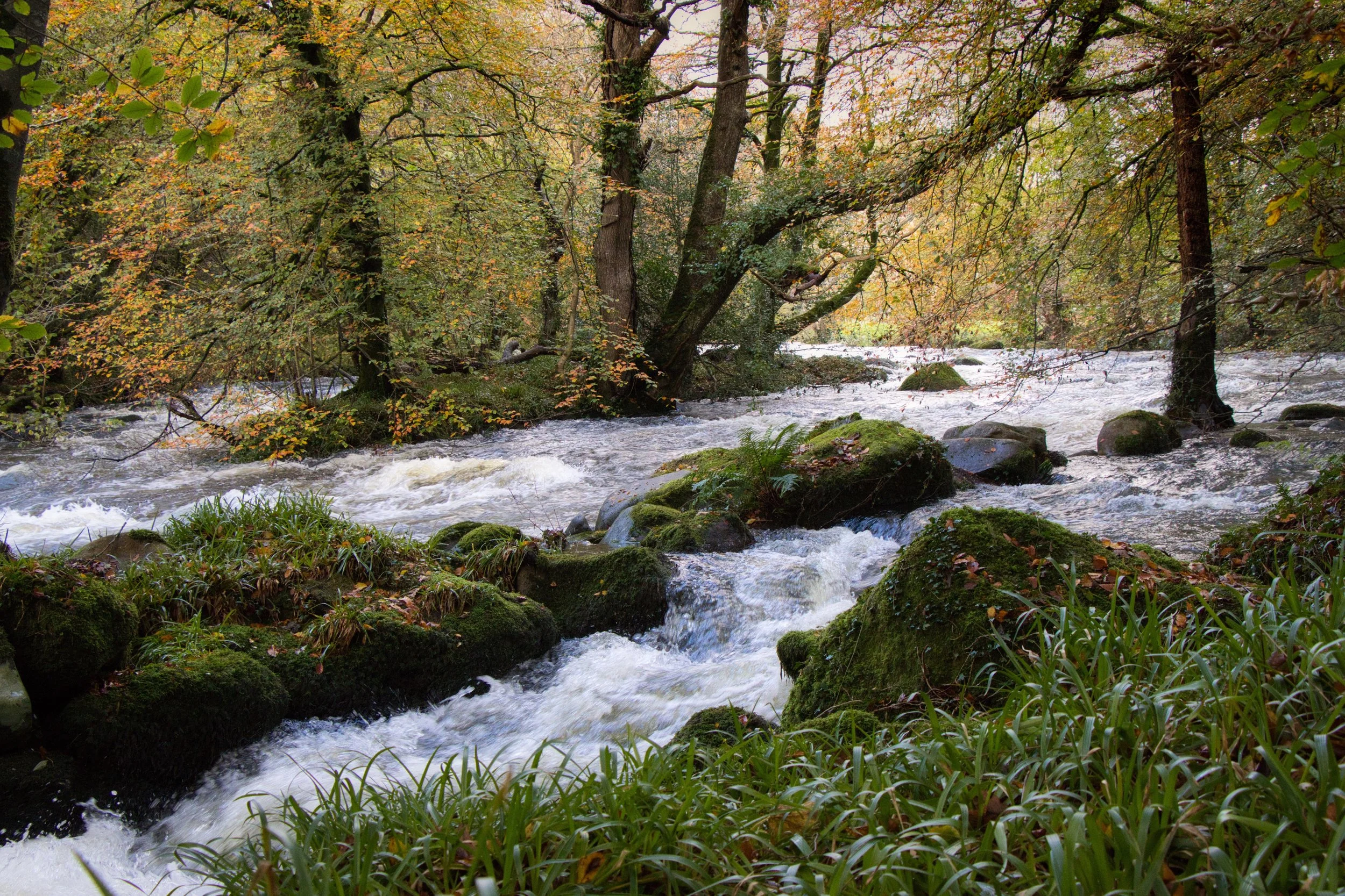 IMG_4942 Luminar.jpeg