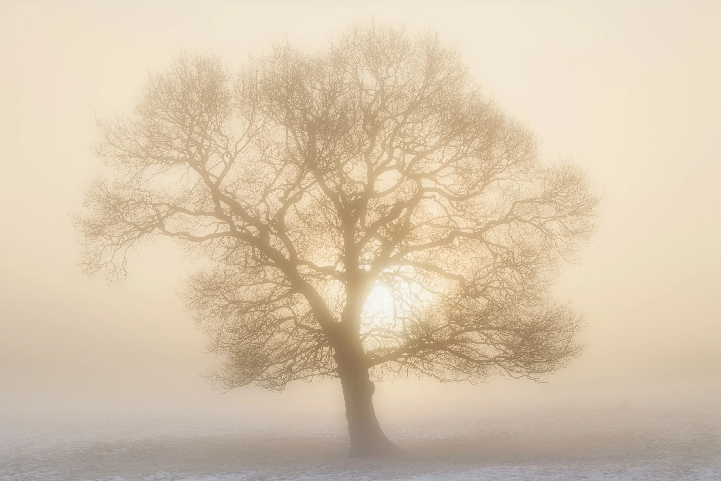 IMG_3716 Luminar edit 1.jpeg