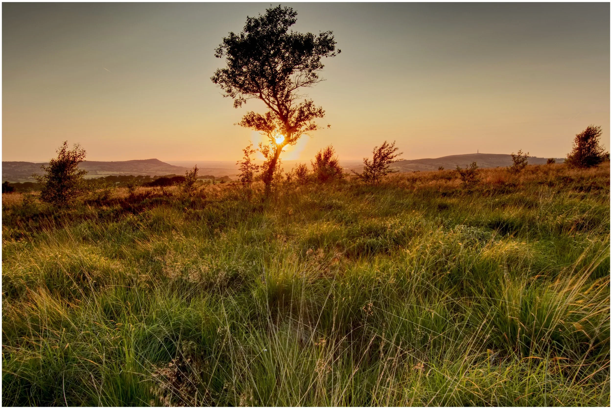 Leekfirth sunset through trees 691_693 v2.jpeg