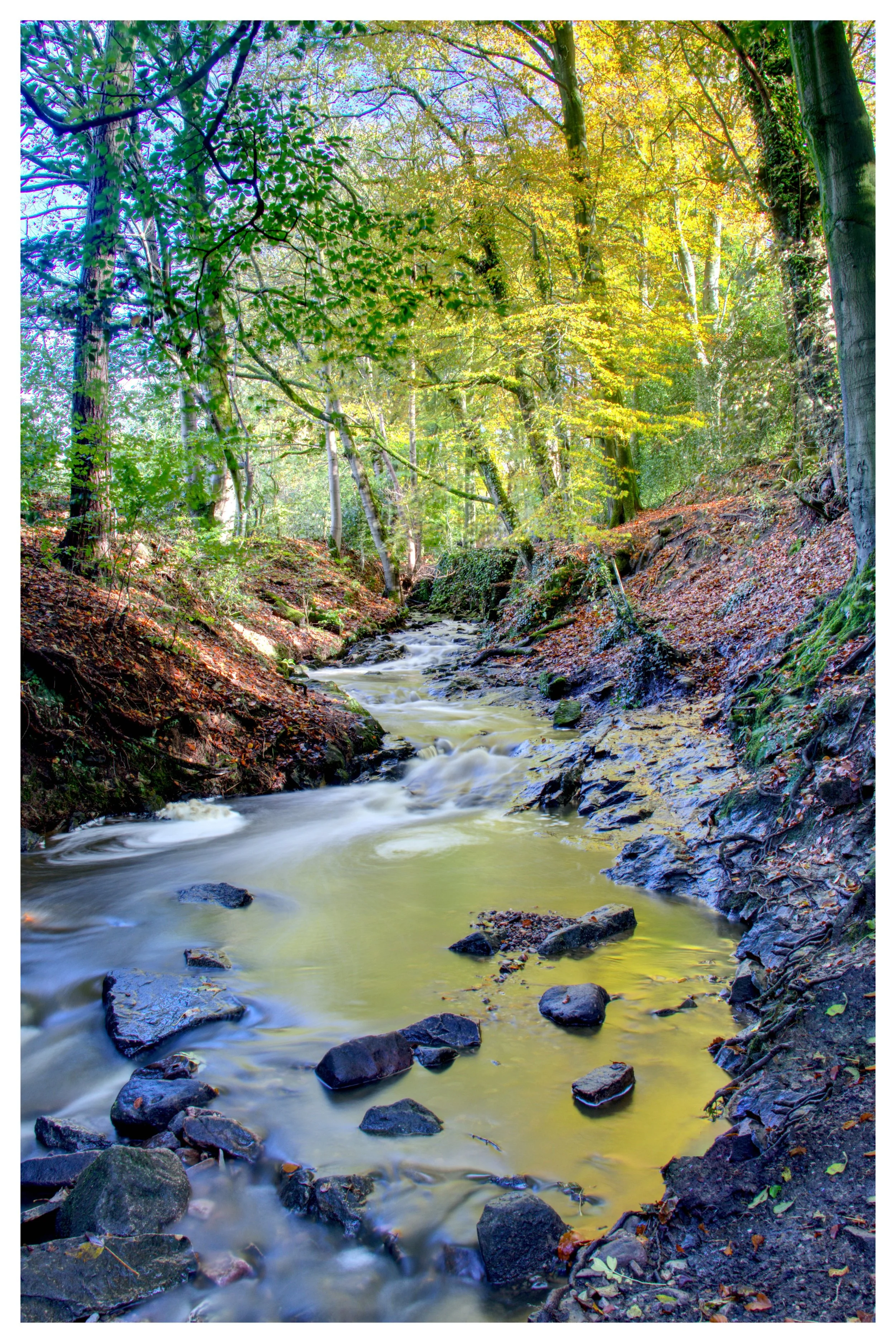 IMG1285_6_7 HDR Merge Biddulph Park stream.jpeg