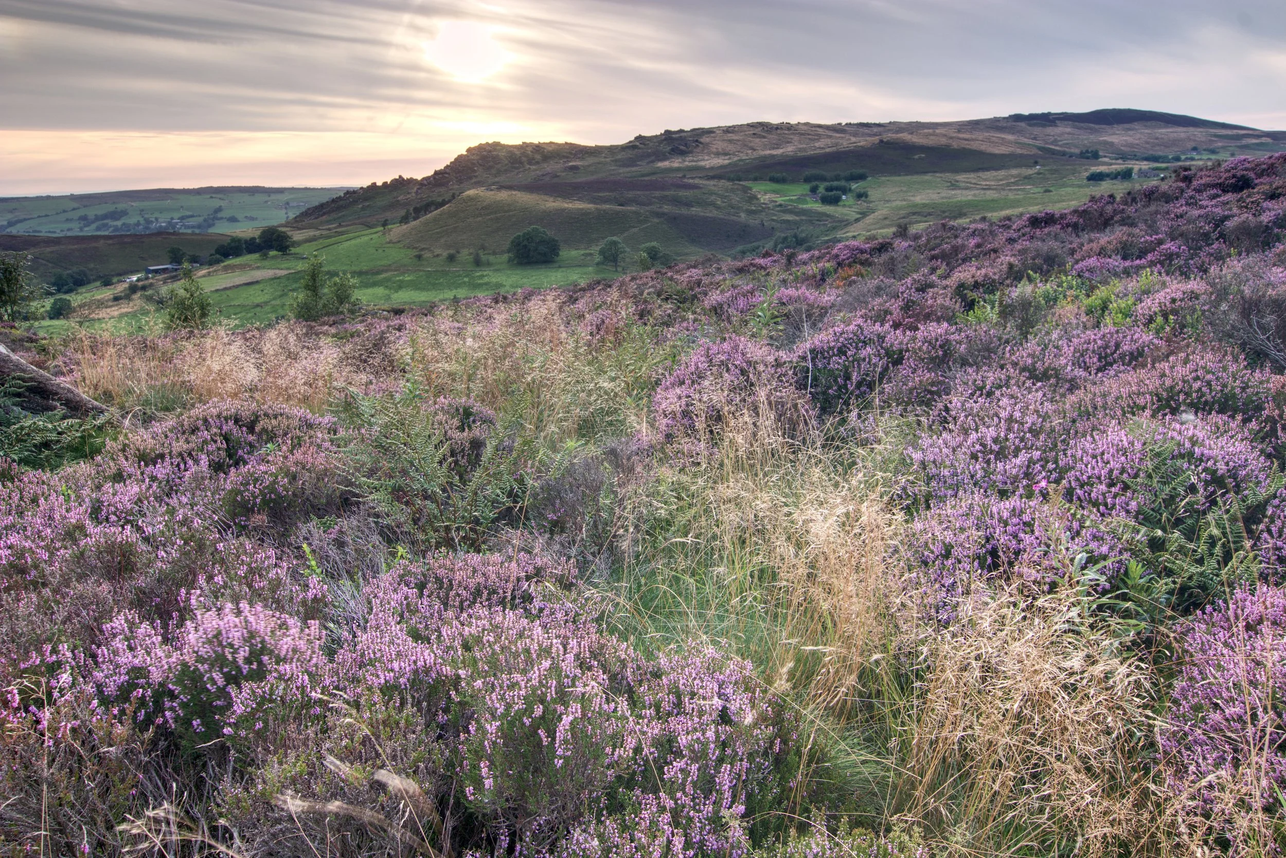 IMG_4268_69_70 HDR.jpeg