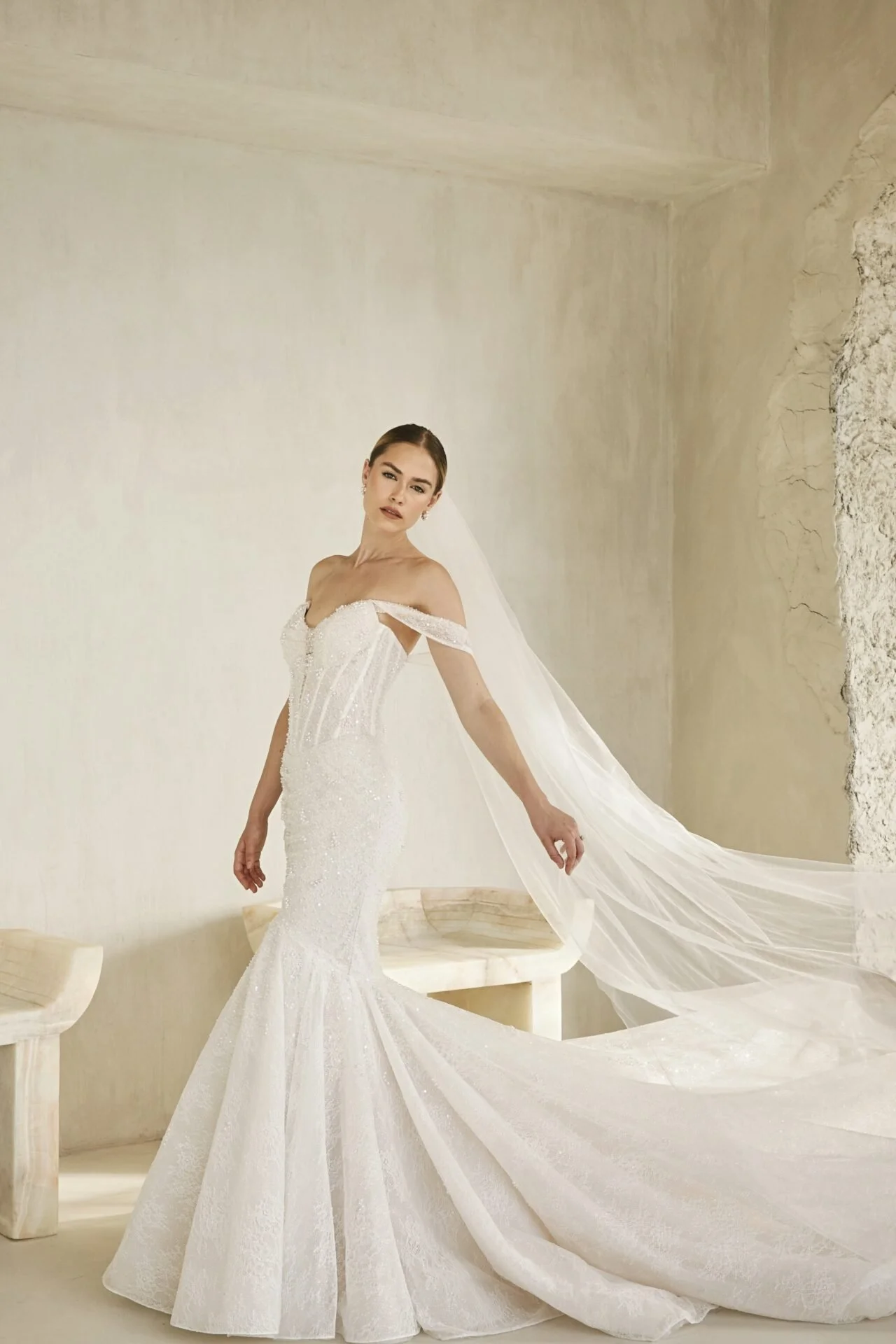 A woman in an elegant white wedding dress with off-shoulder sleeves and a long train, and a long veil.