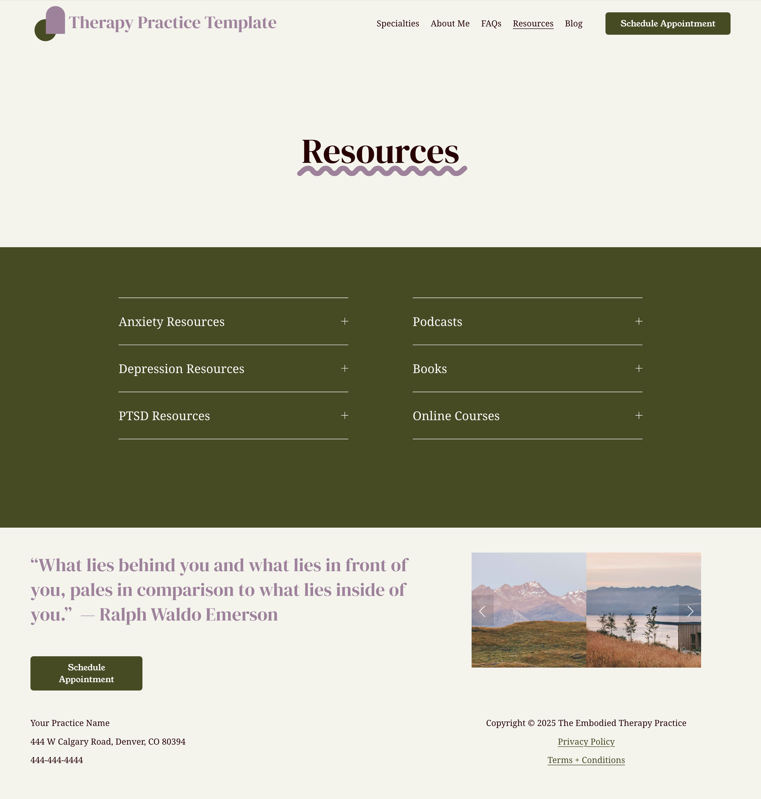 screencapture-individual-practice-template-squarespace-resources-2025-05-01-17_50_04.png