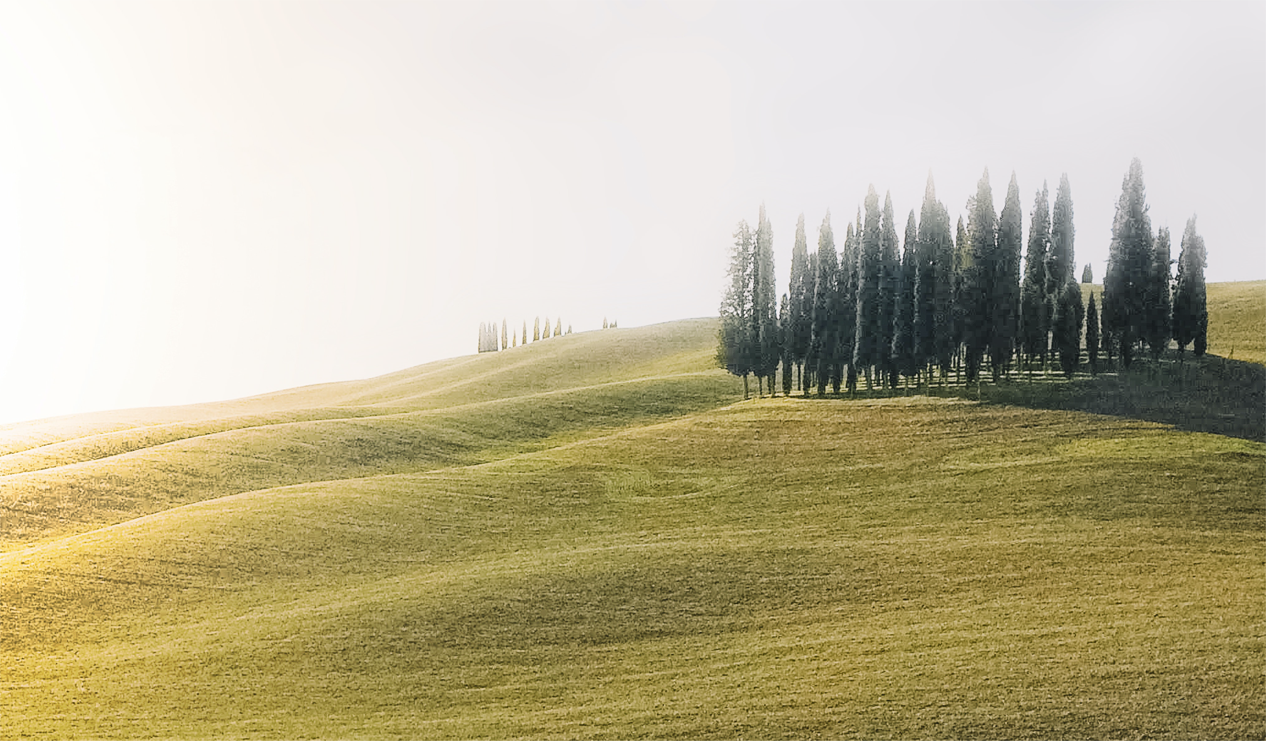 SONGES behance-02.png