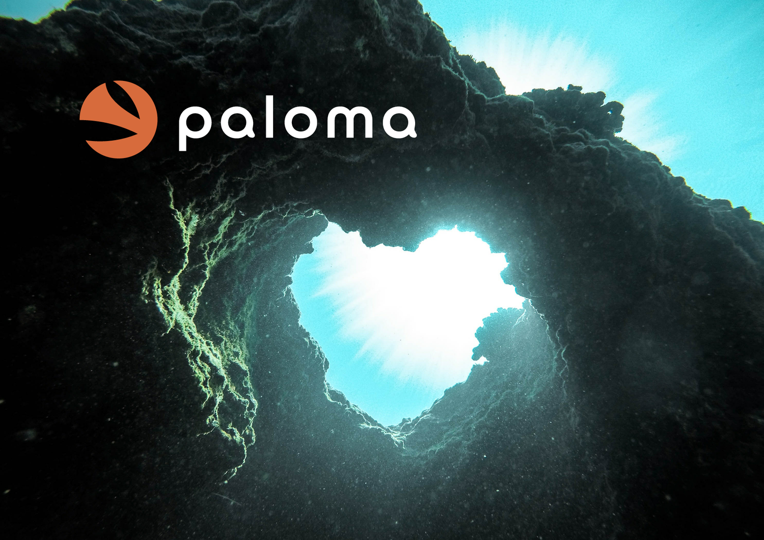 Paloma - Vision finale