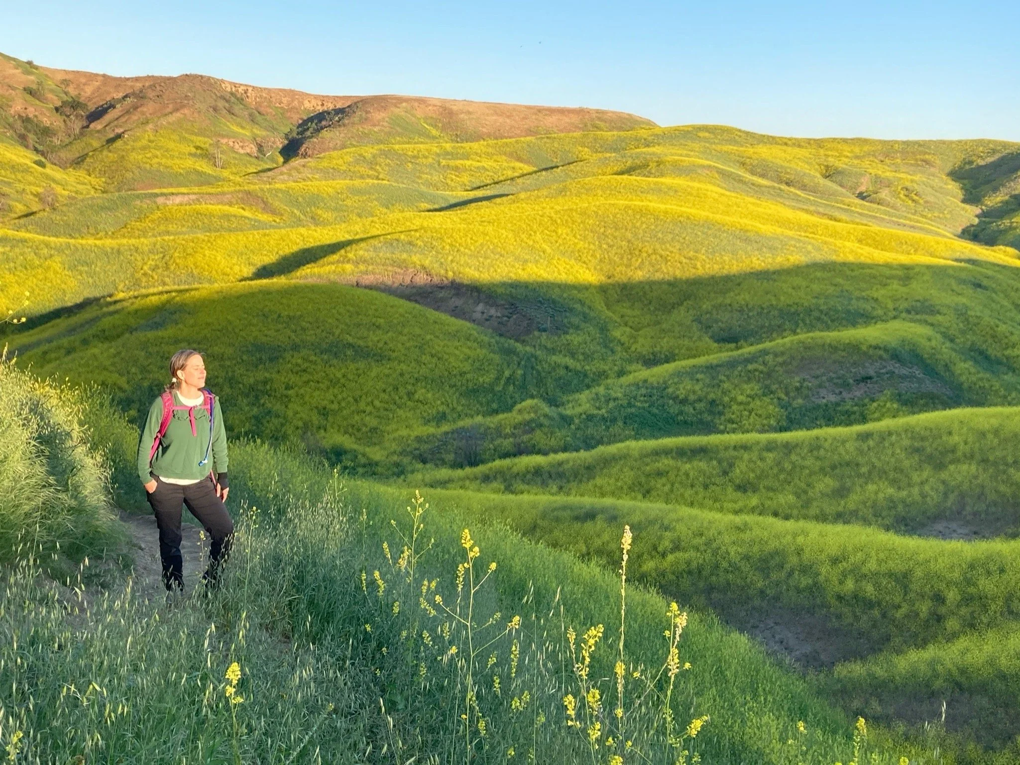 Books — Ingrid Clayton, PhD