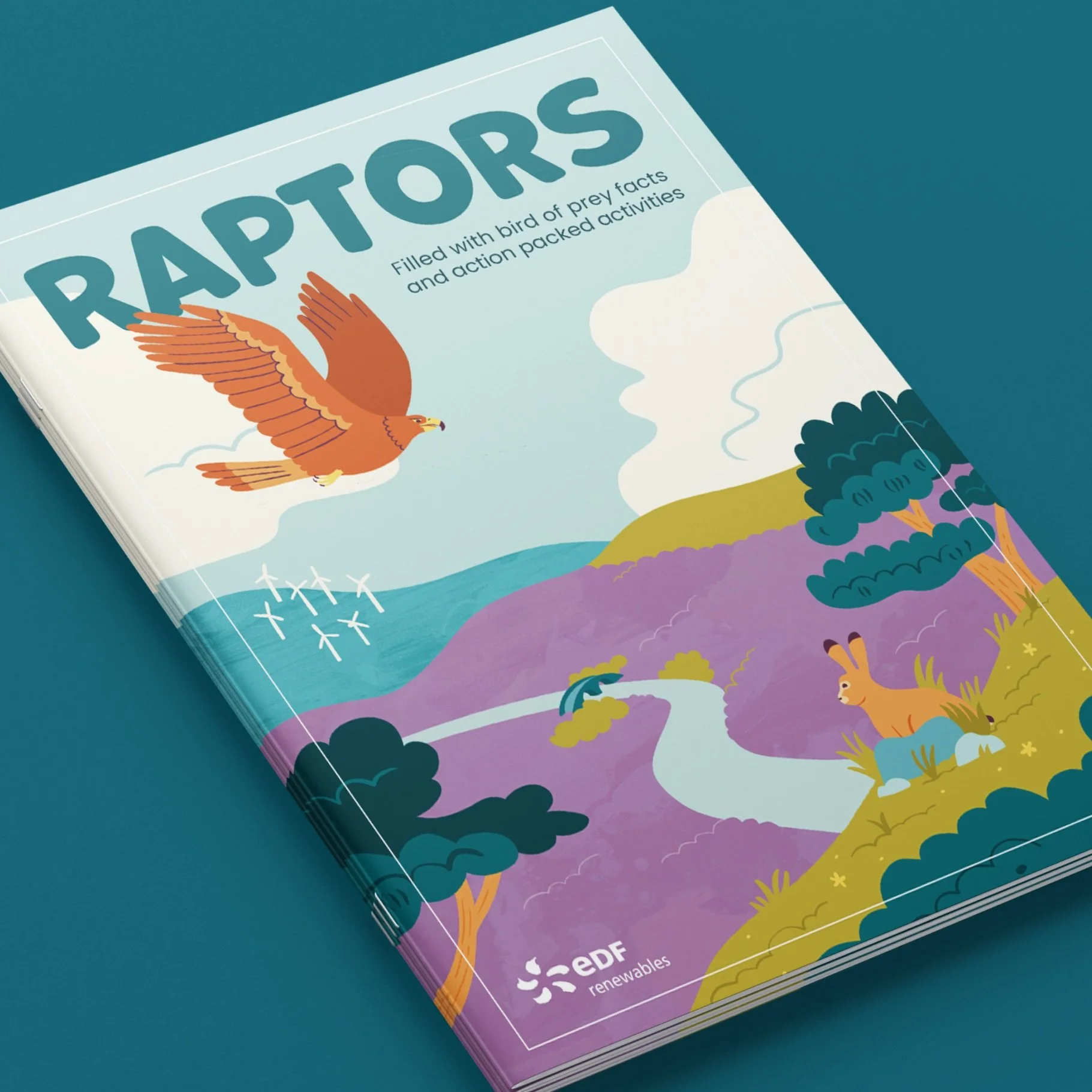 EDF Renewables Activity Zine