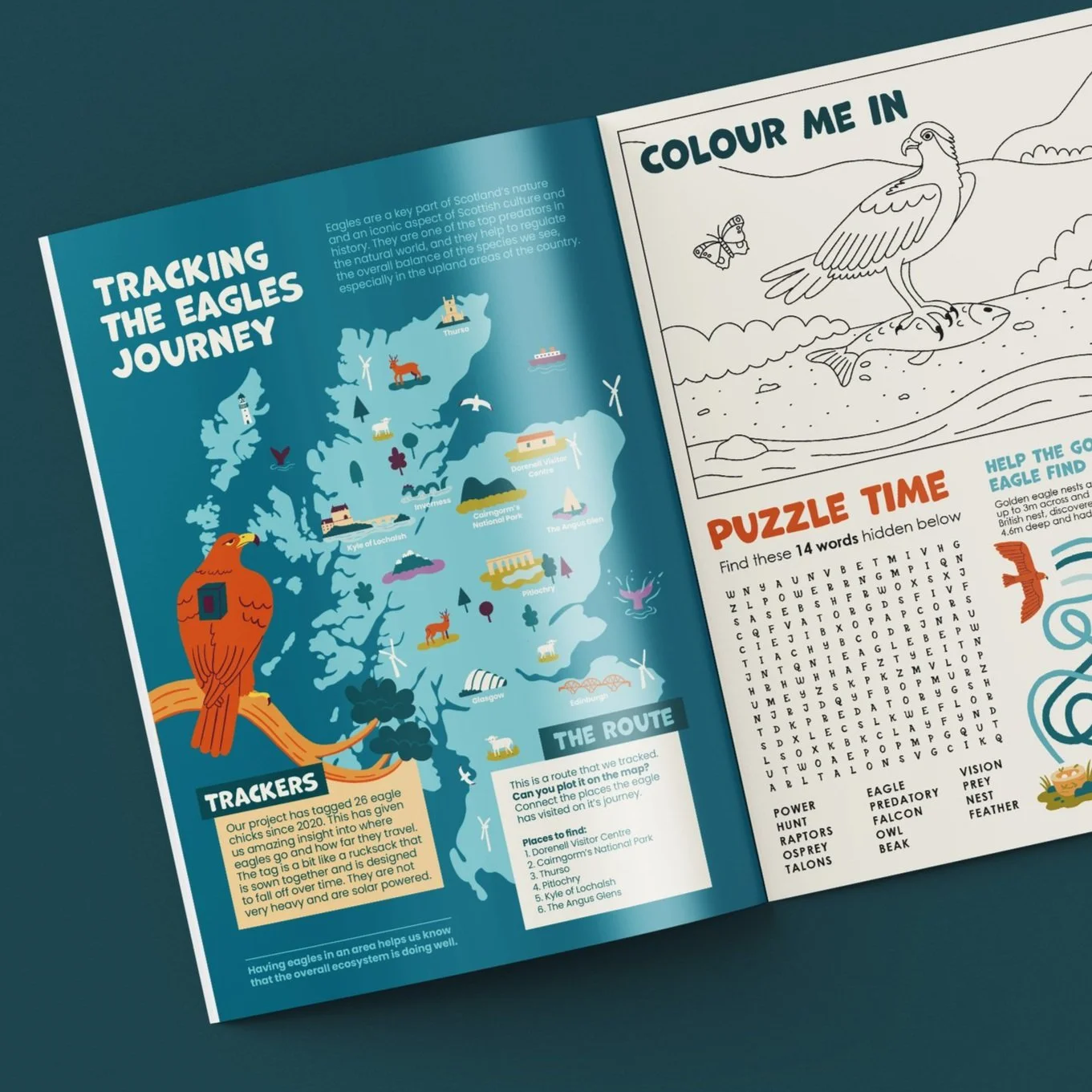 EDF Renewables Activity Zine