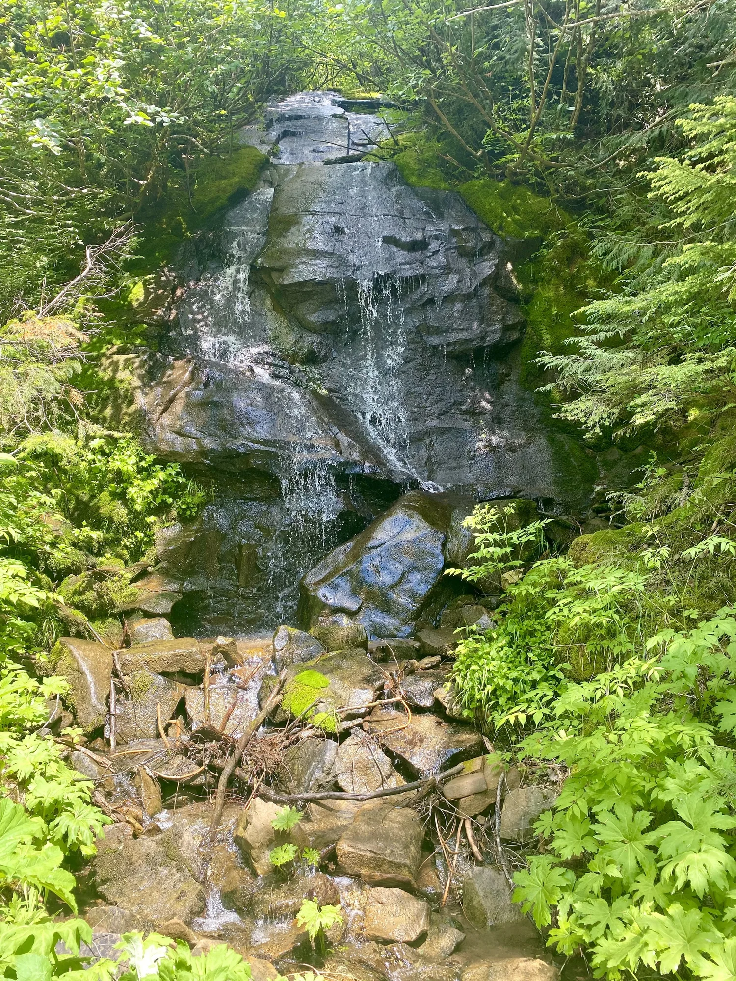 Granite Falls Community Chiropractic