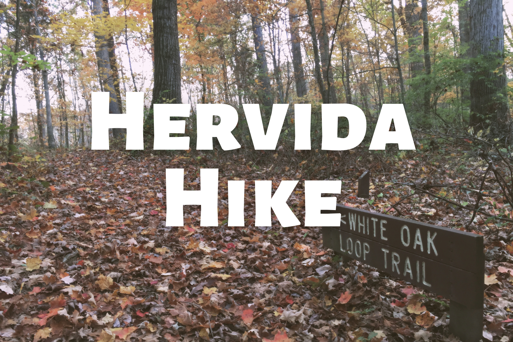 Hervida Hike