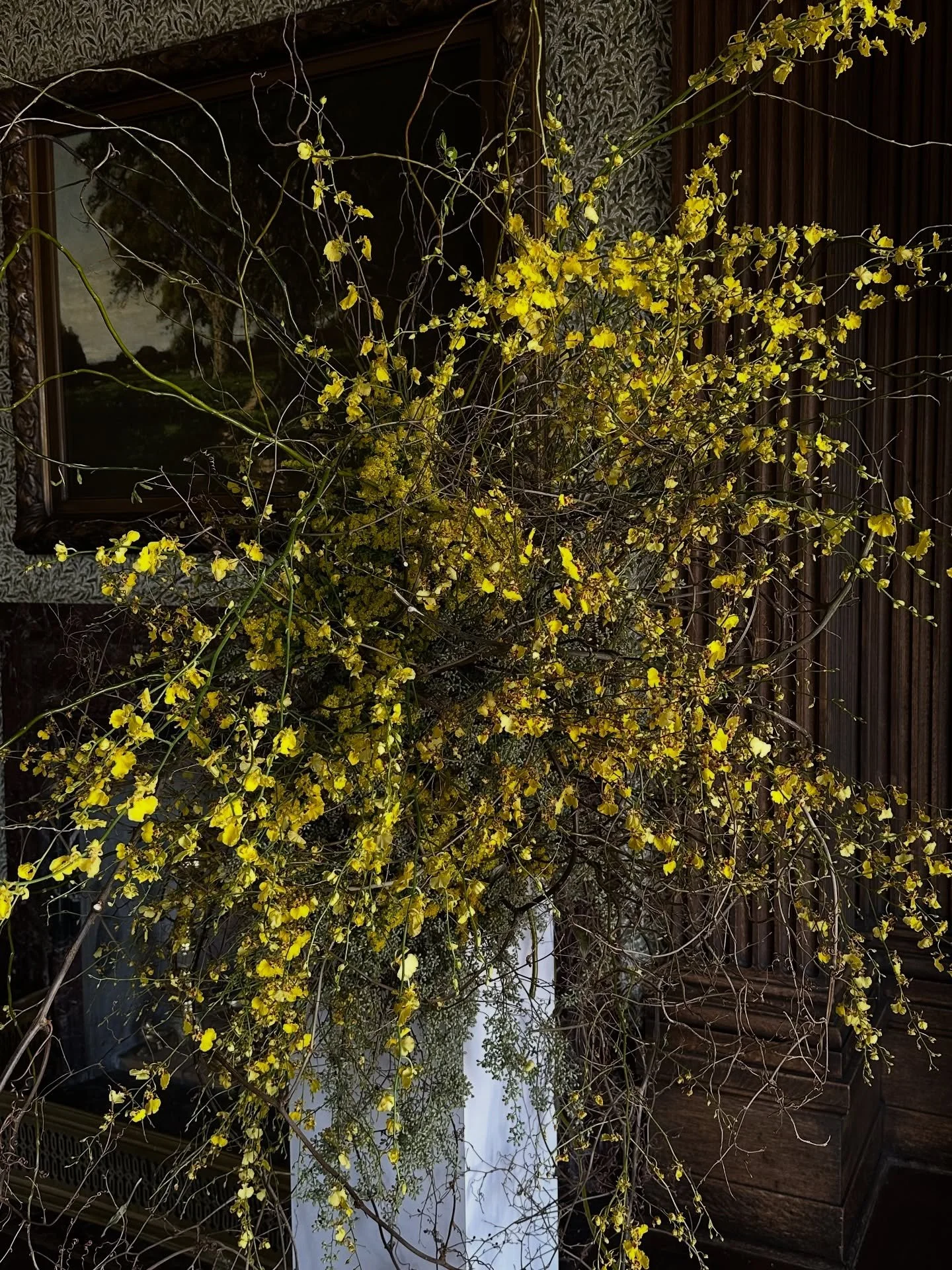 Inspired by the blossoming branches of spring(last image), we created a wild, autumnal sculpture of dancing oncidiums. Grateful for Nydia and Yaric, who were endlessly trusting&mdash;rather than fixating on specific blooms, they gave us the freedom t