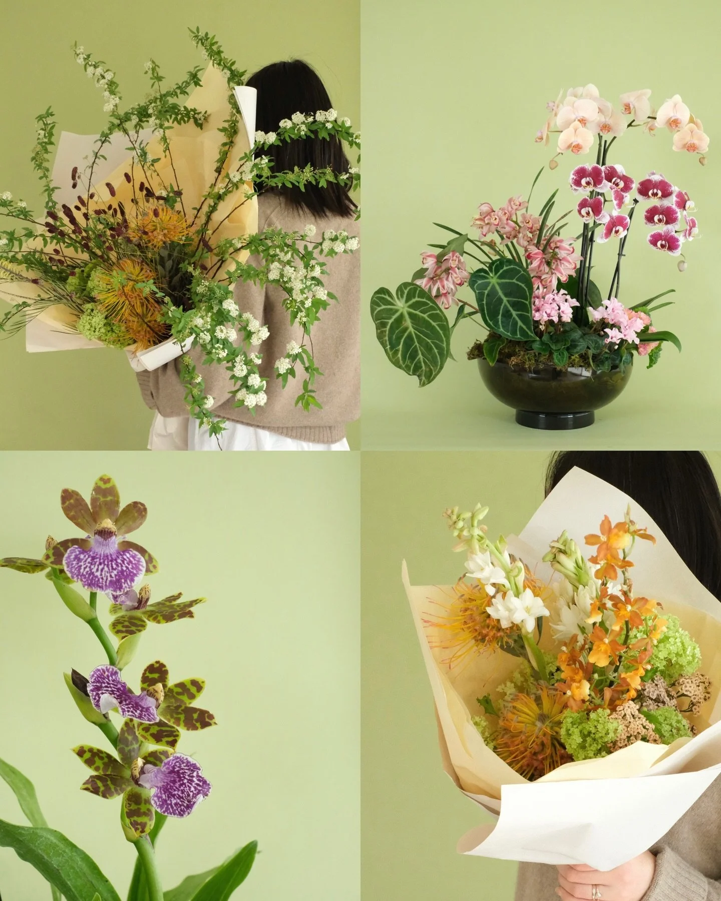 For a limited time, we&rsquo;re offering flowers for Valentine&rsquo;s Day and the Year of the Horse. Mark the new year or gift someone special with thoughtfully curated, seasonal botanicals.

Pre-order by Feb 12, 8pm
Studio pickup: Feb 14&ndash;15, 