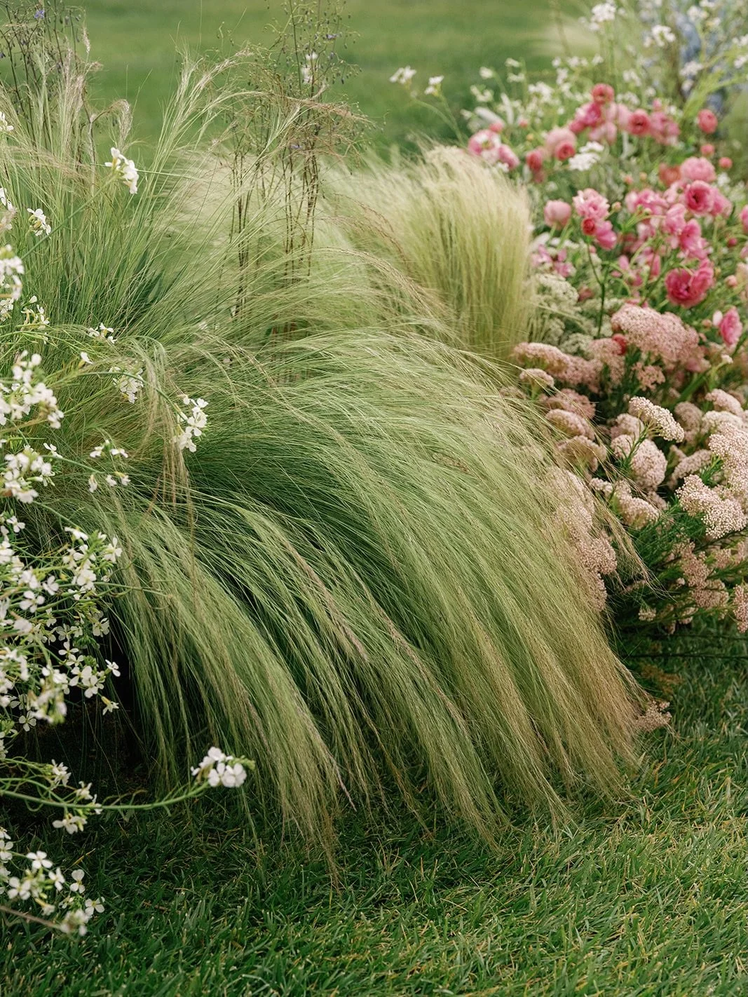 J &amp; J&rsquo;s sweet wedding with the best of spring 🌼🪻

Planning &amp; Design: @annietimeevents 
Photography:@zhazha
Videography: @amyhungfilms
MUA: @gracelinmakeup
Floral Design: @pond.floralstudio
Venue: @viansawinery