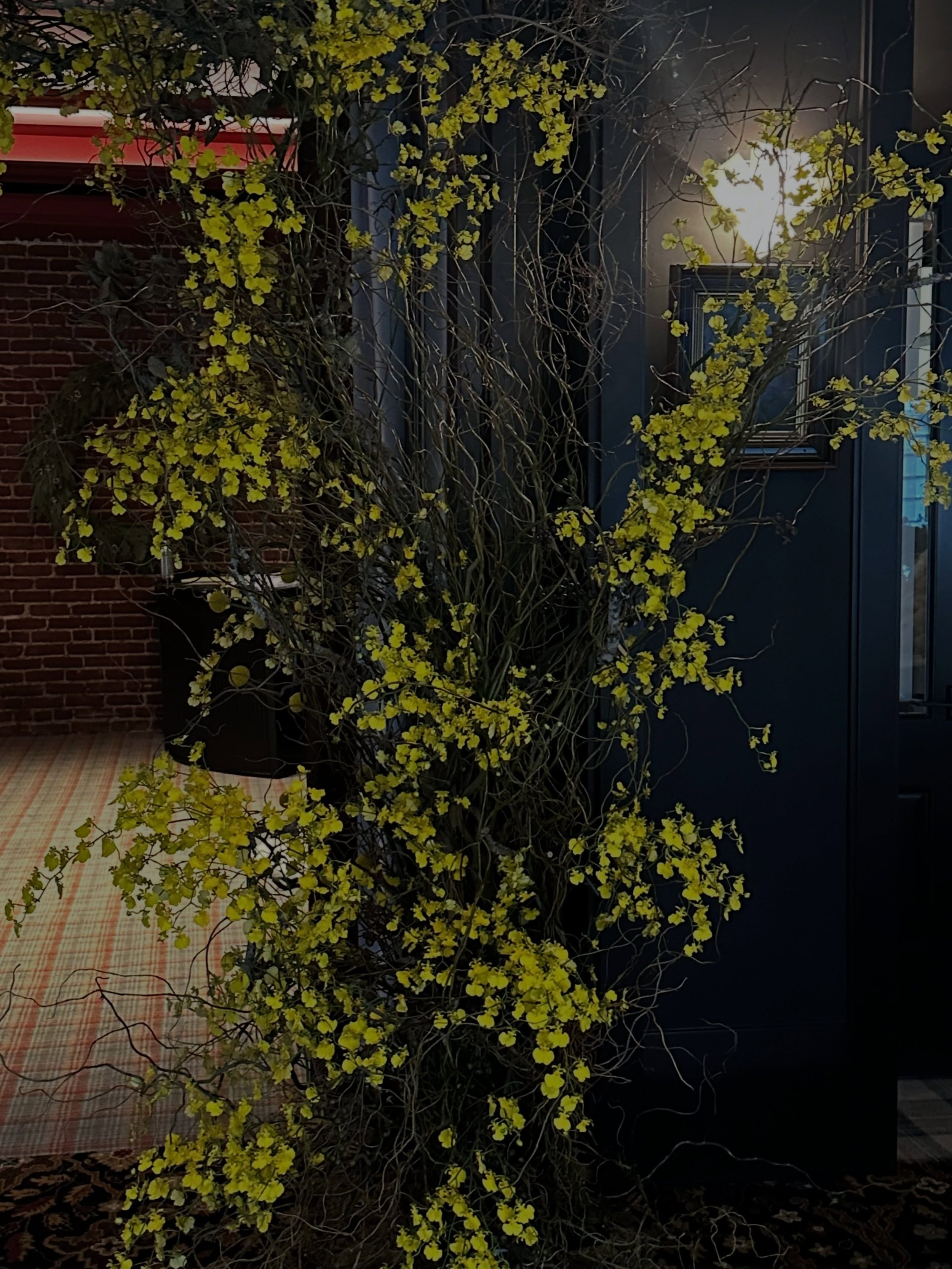 For E &amp; W&rsquo;s reception dinner at @wayfaretavern last winter&ndash;

We built an overgrown flowering vine portal connecting the two spaces, creating a passage guests naturally move through throughout the evening.