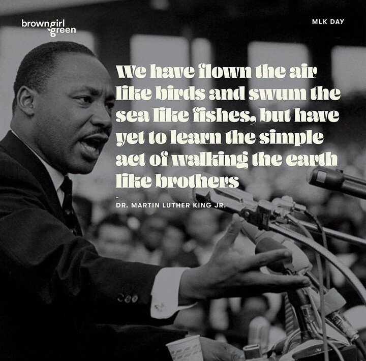 On this #MLKDAY I wanted to bring the John Lewis Voting Rights Advancement Act to y&rsquo;all&rsquo;s attention! #browngirlgreen 

This act is being deliberated rn &amp; you can easily call, tweet, &amp; contact your Congress members to take action o