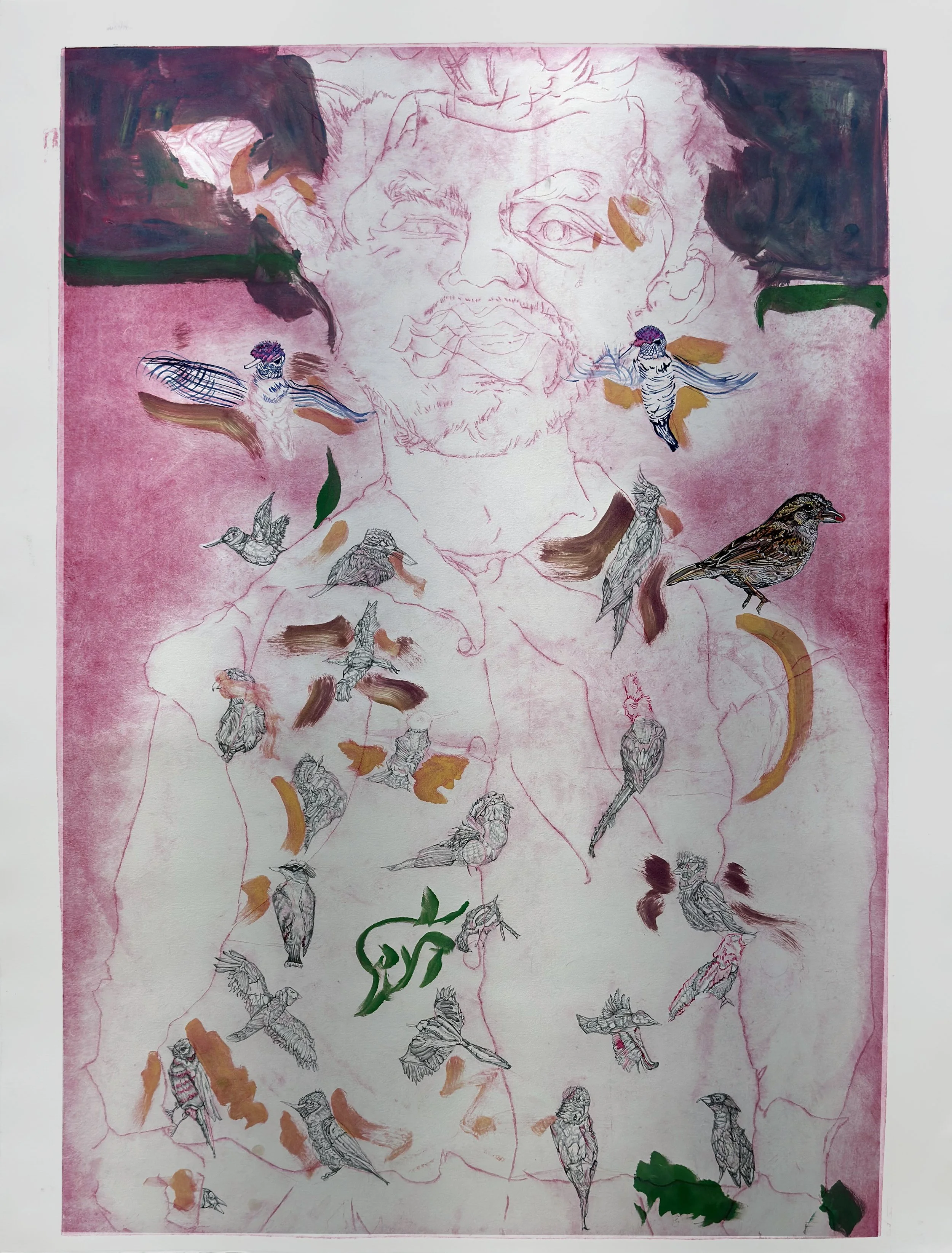 Willy Bird with Bird, 2026, Etching with Ink, Pencil and Gouache on Arches Paper. 38” x 26”