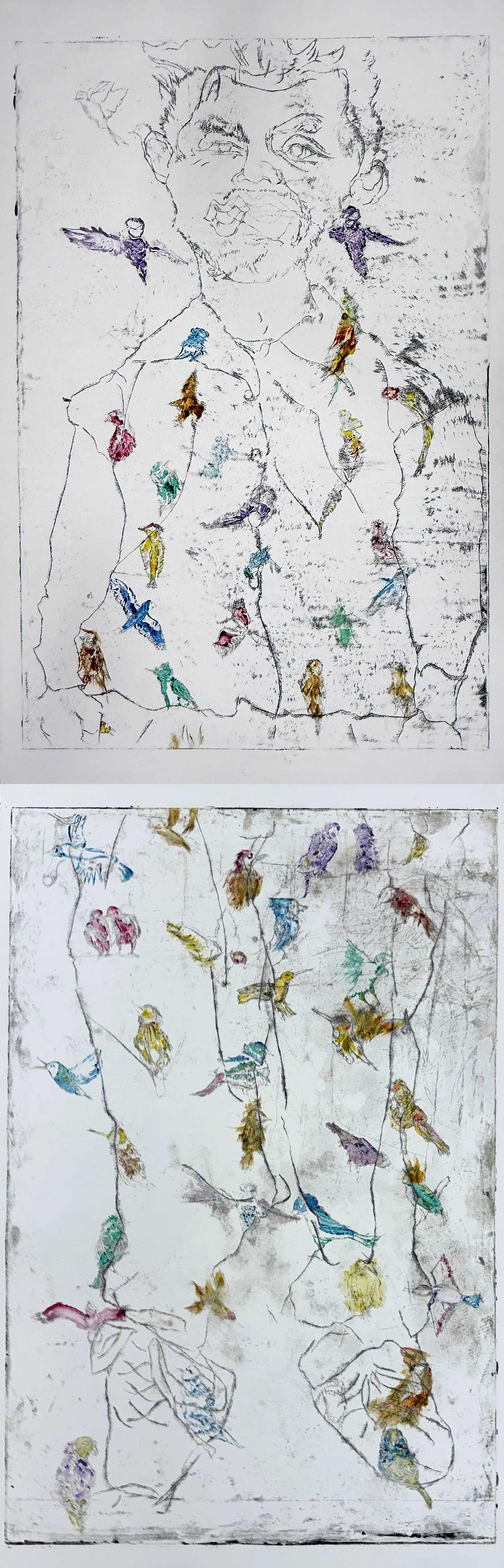 Willy Bird's Body with Colored Birds, 2026, Etching with Ink on Arches Paper. Two Prints Each 38” x 26”