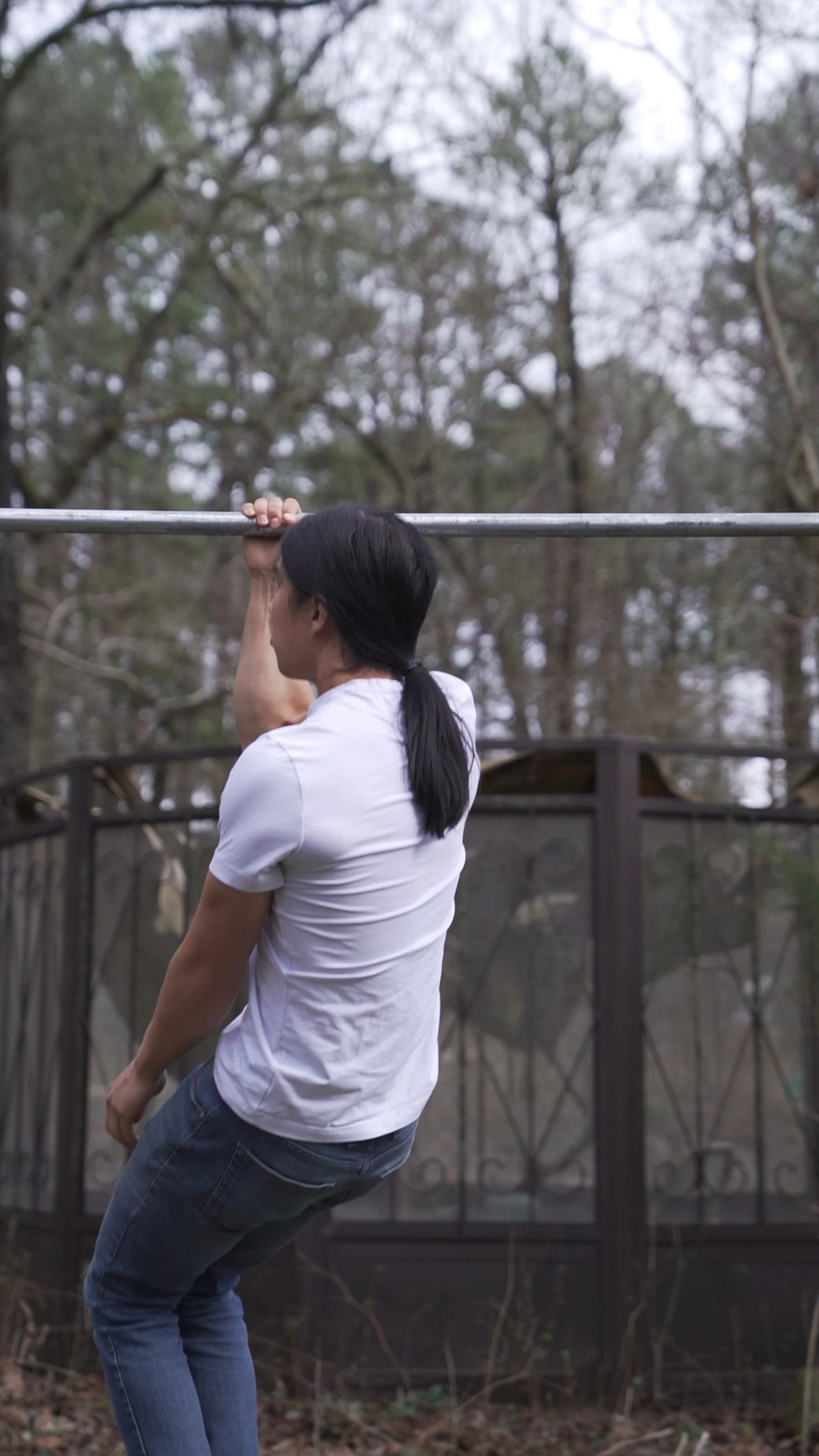 Pullups — Hybrid Calisthenics