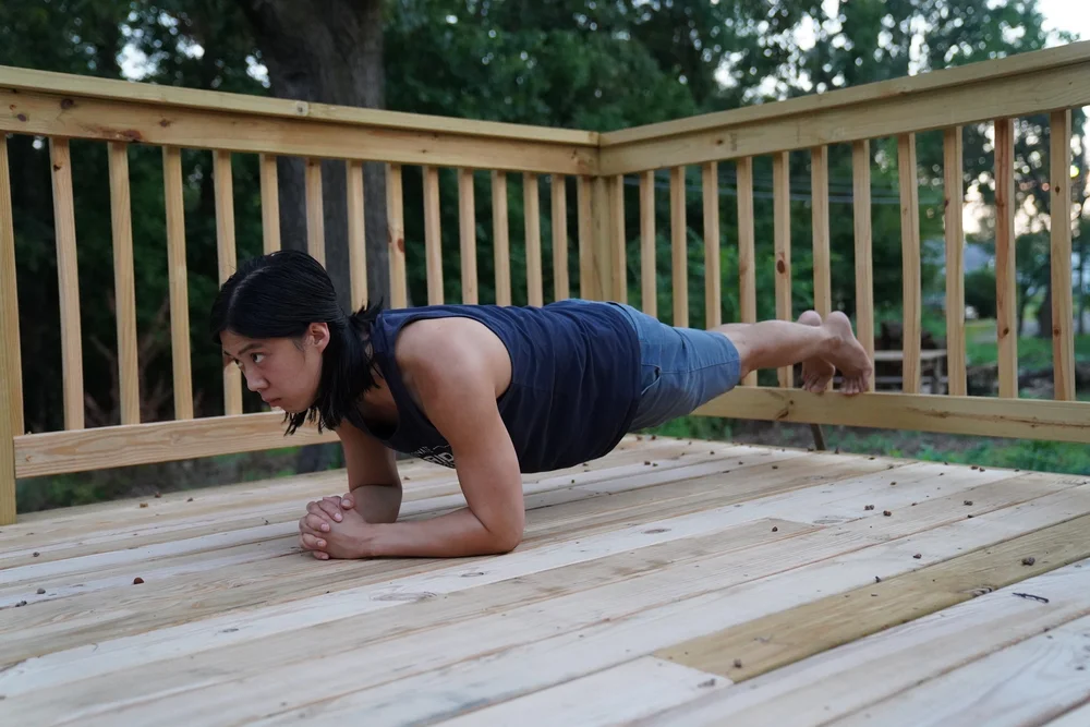 Elbow Levers — Hybrid Calisthenics