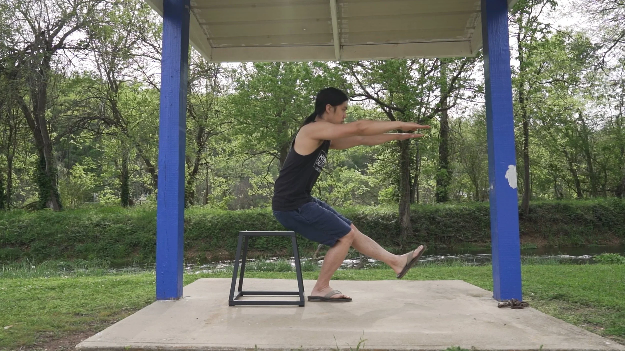 Squats — Hybrid Calisthenics