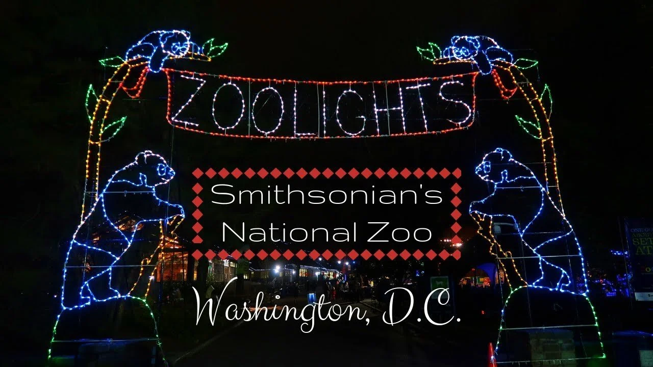 Amos Live at the National Zoo Christmas Lighting | Sat 11/25 @ 6pm