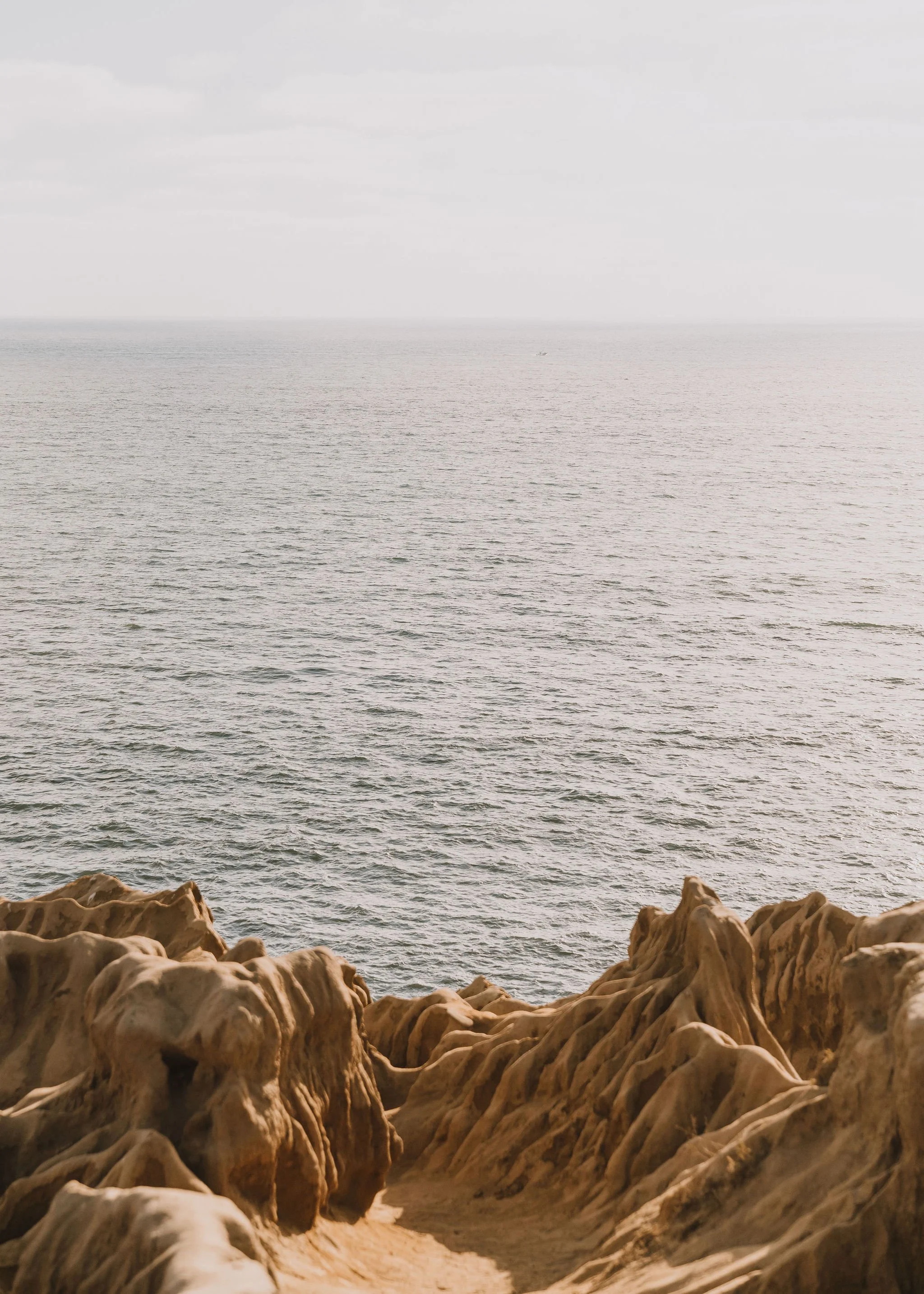 San-Diego-Couples-Photographer-Engagment-Proposal-Photography-Sunset-Cliffs-2025-Mallory-Kessel-Photo-00922.jpg