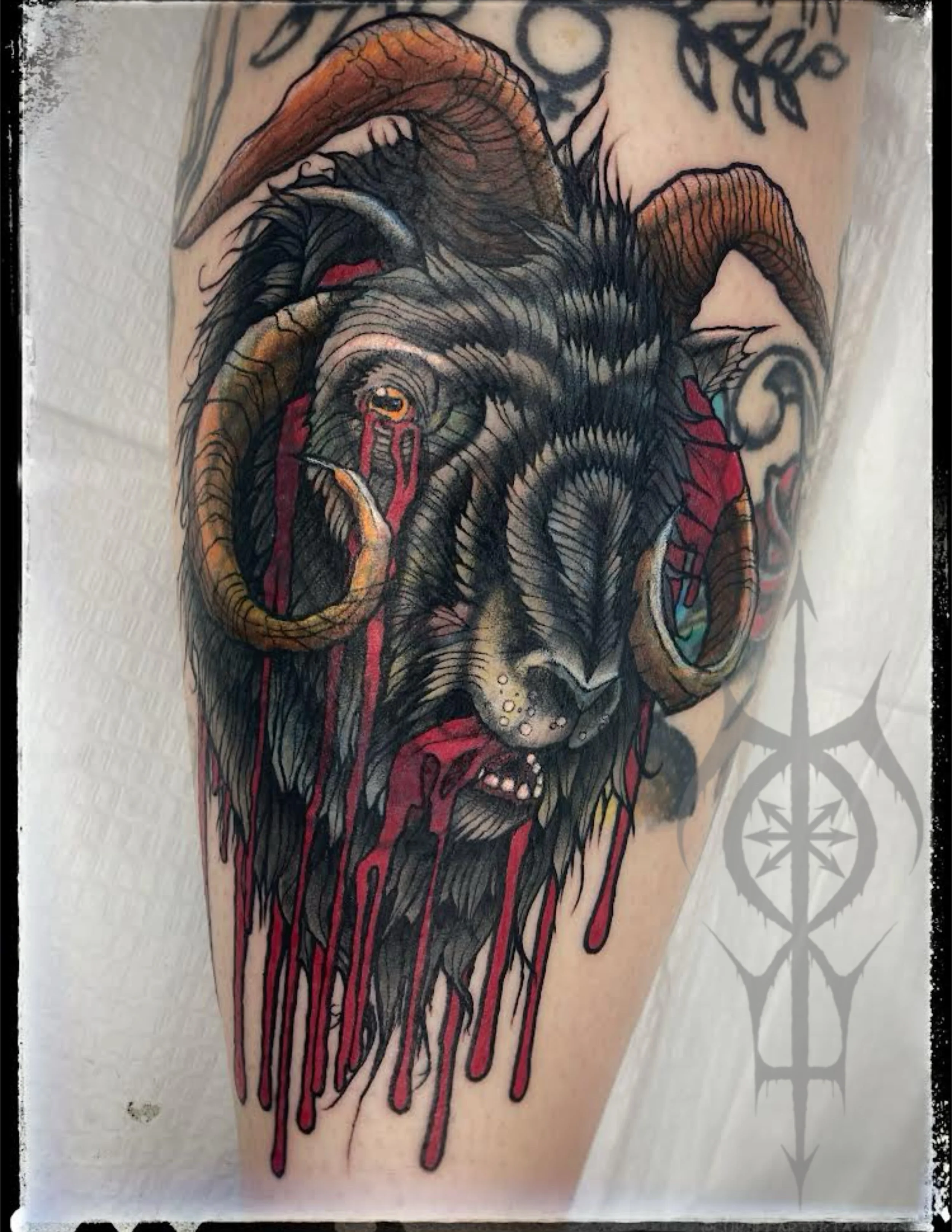Untitled_Artwork(7).jpg