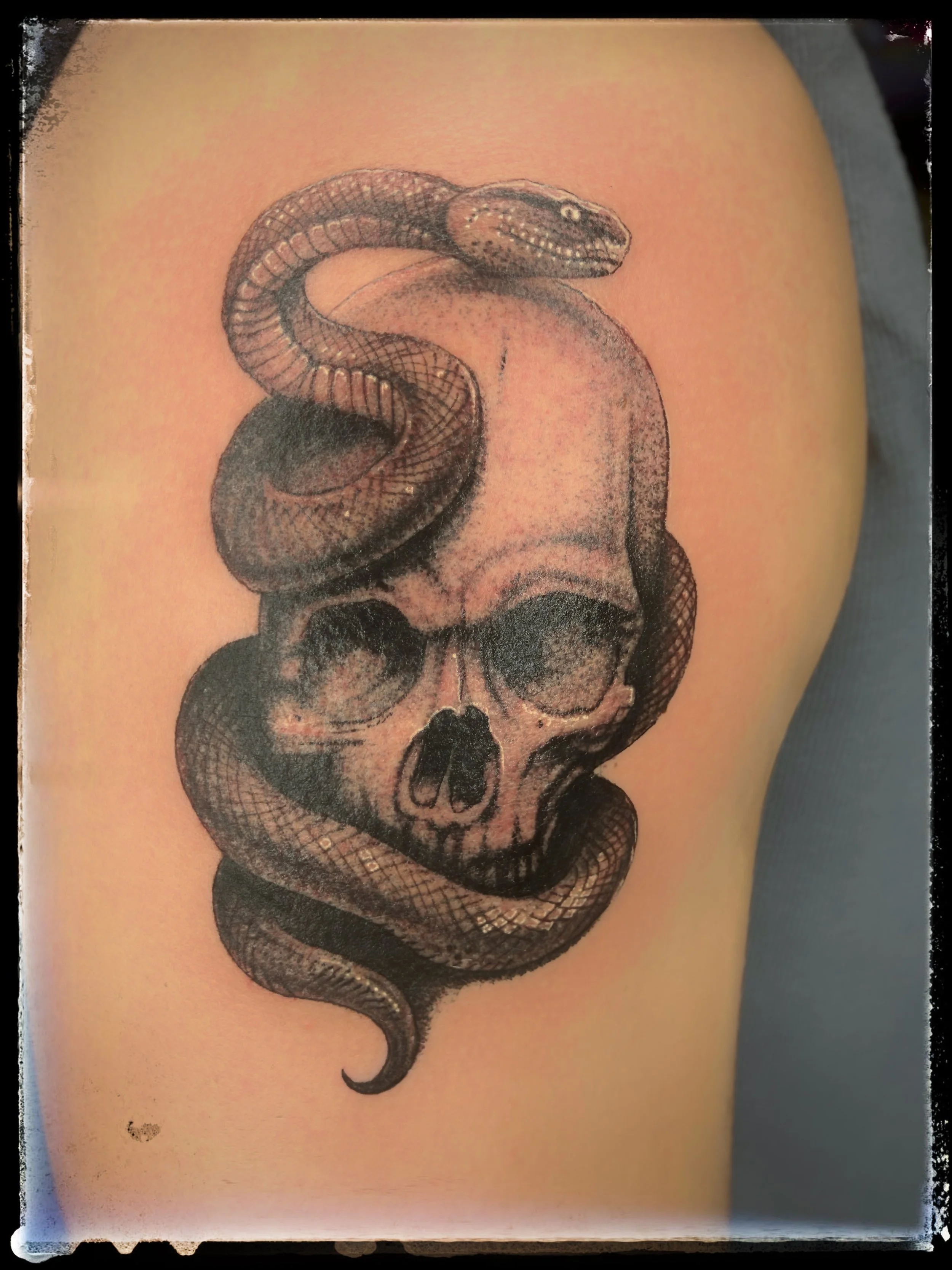 JPEG image-484D-91B0-24-0.jpeg