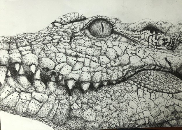 Crocodile by Logix