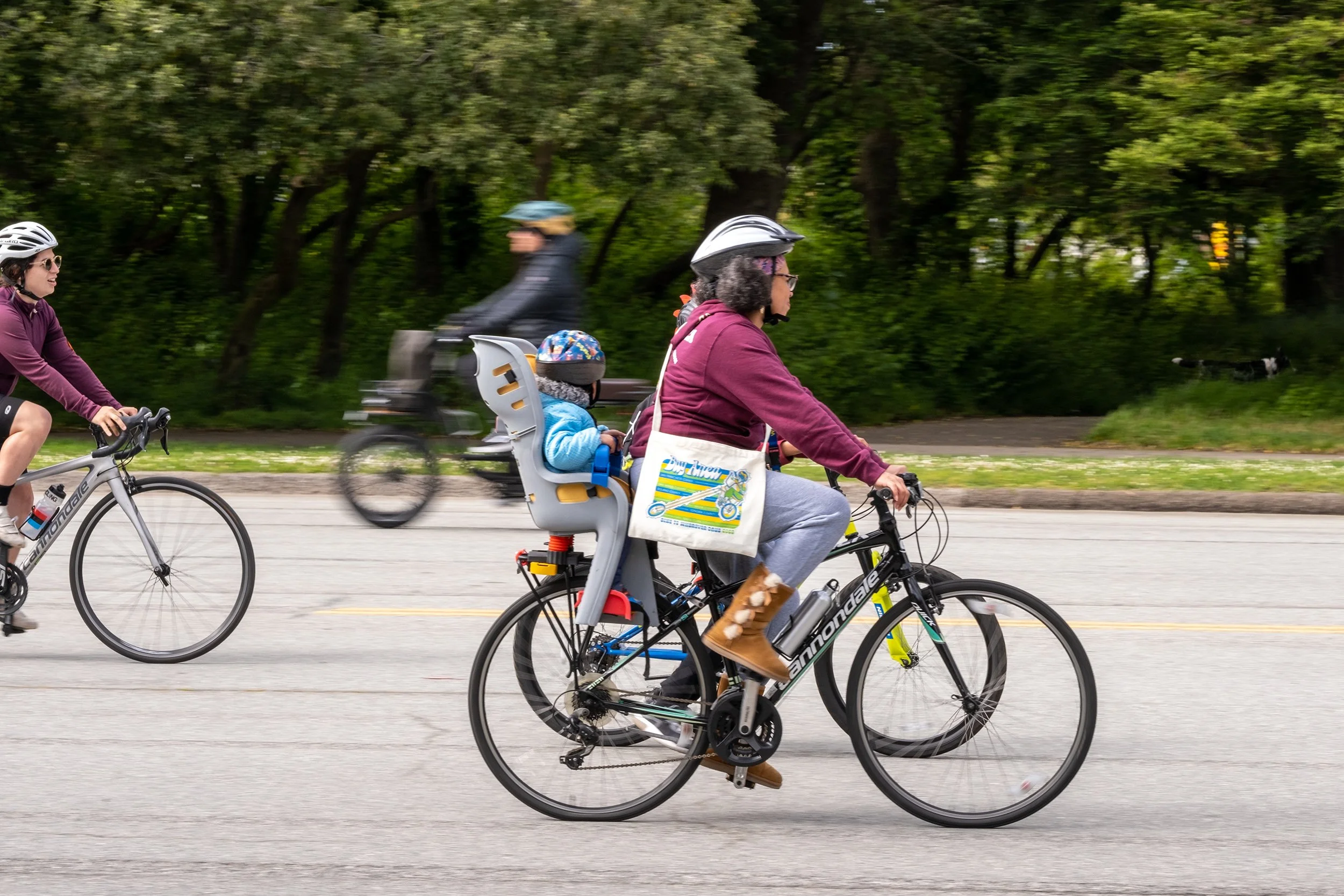 Bay Area Bike To Wherever Days